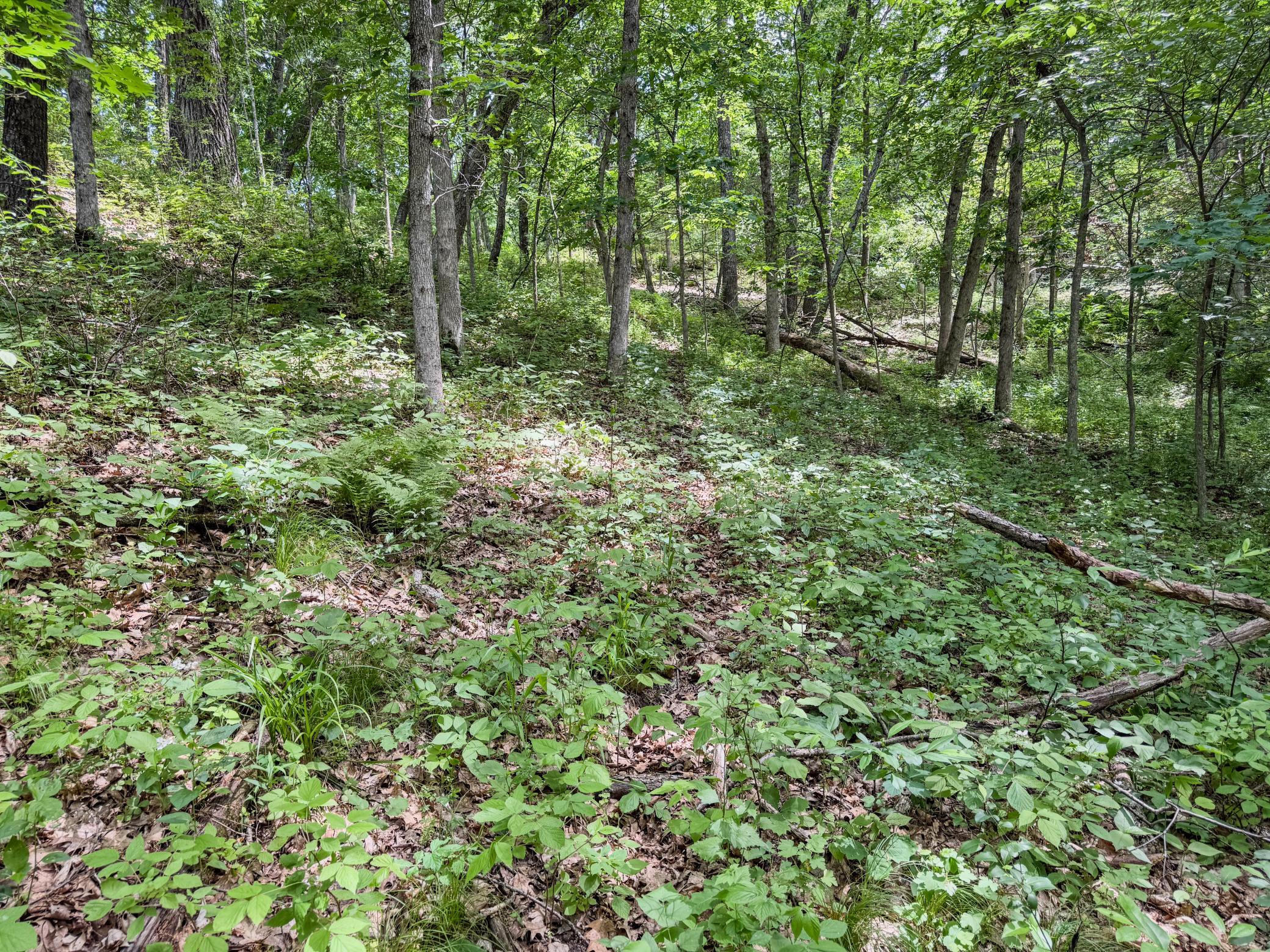 00 Dopp Property Photo 23