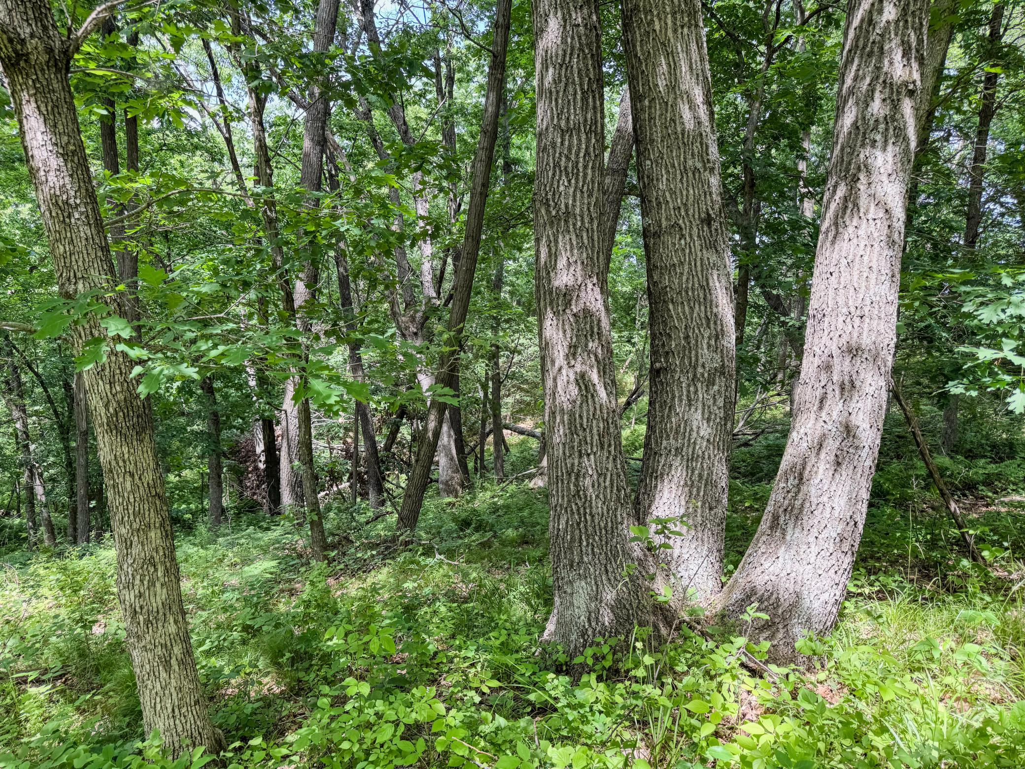00 Dopp Property Photo 24