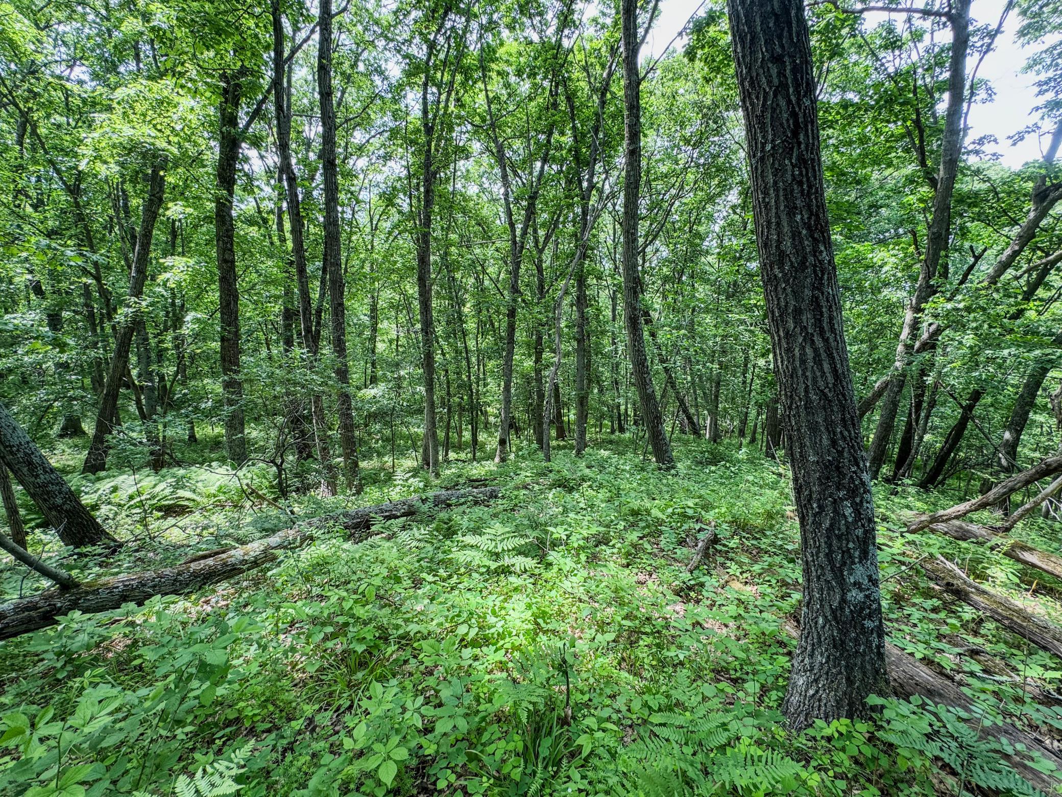 00 Dopp Property Photo 25