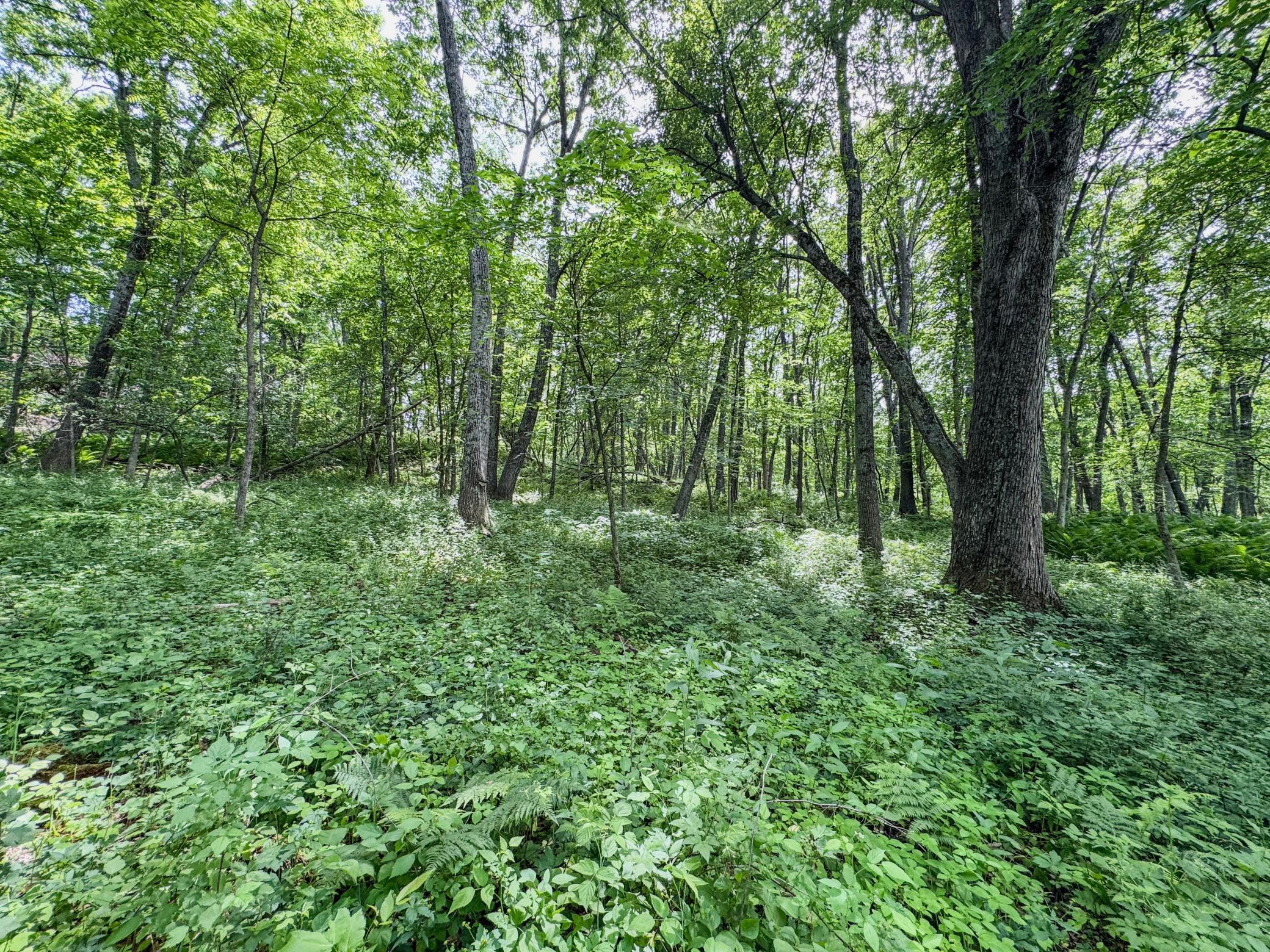 00 Dopp Property Photo 26