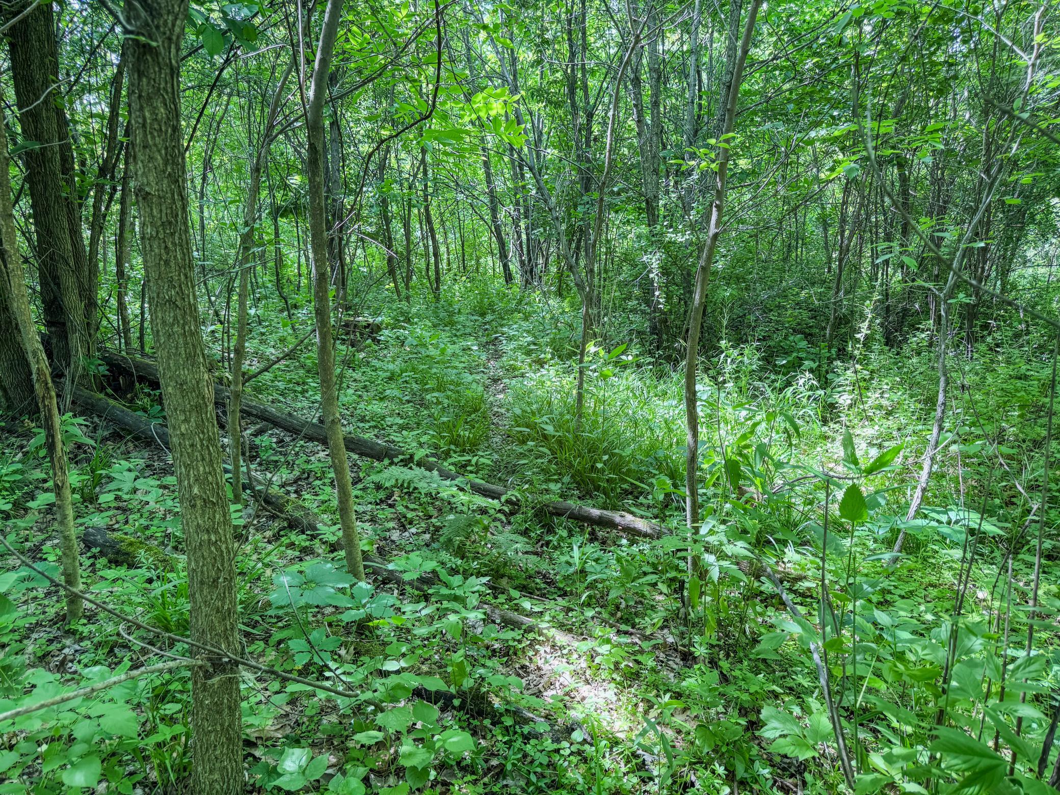 00 Dopp Property Photo 30
