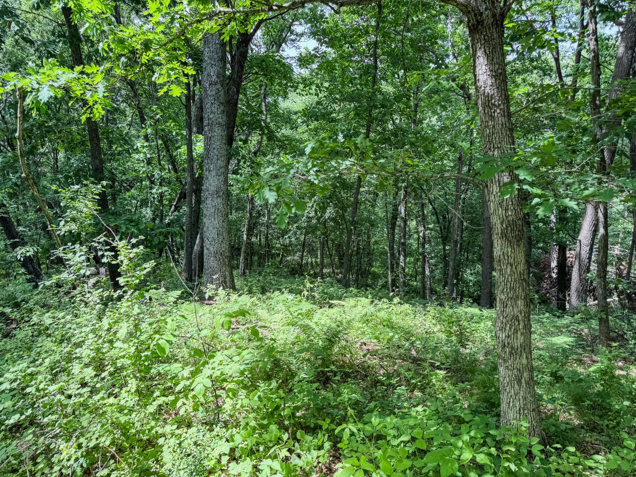 00 Dopp Property Photo 31