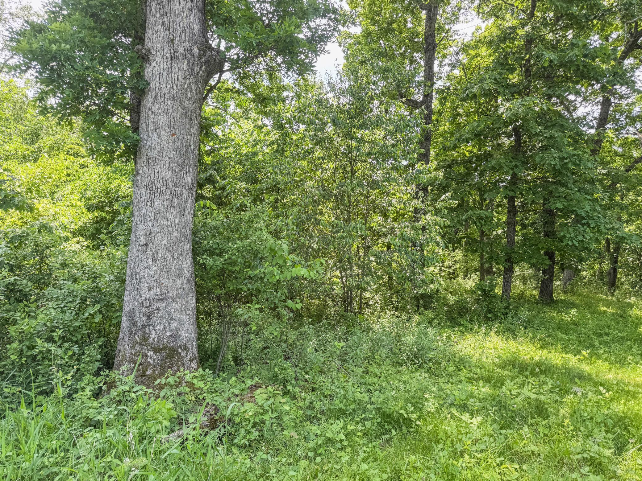 00 Dopp Property Photo 38