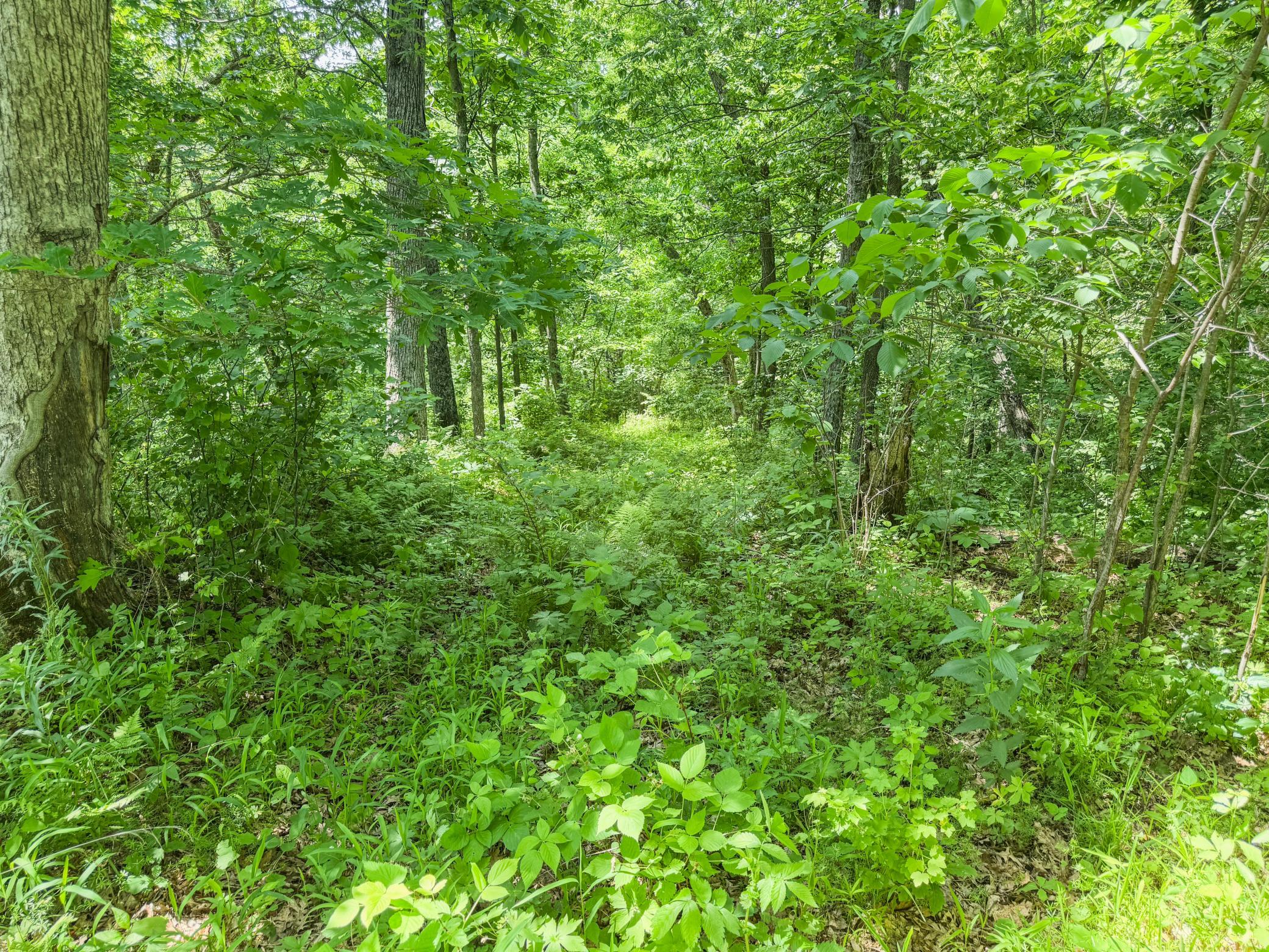 00 Dopp Property Photo 39