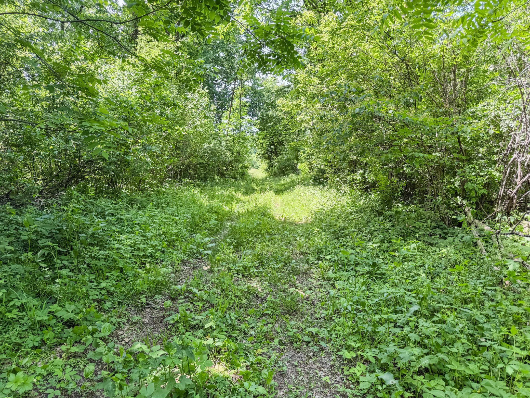 00 Dopp Property Photo 41