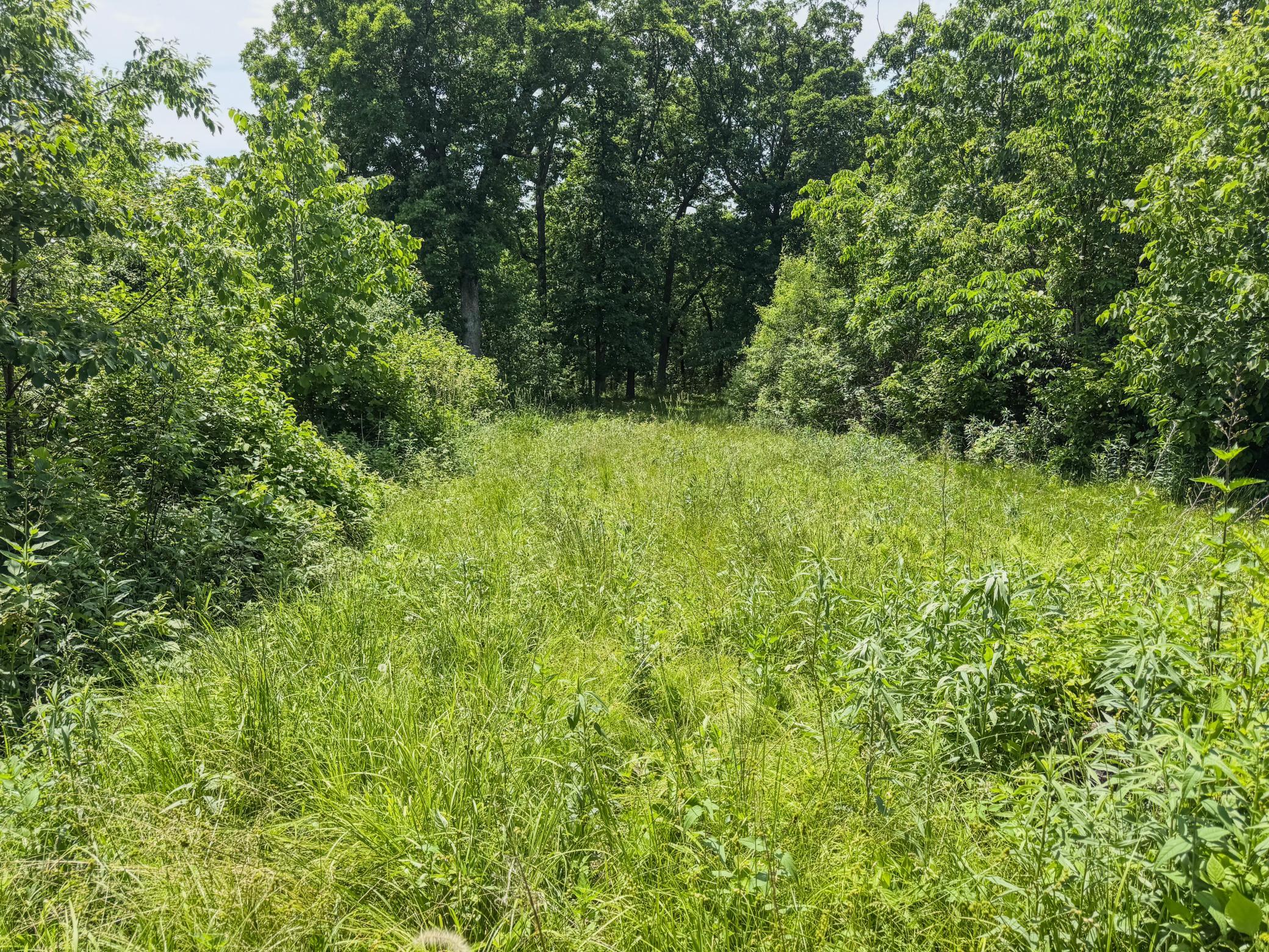 00 Dopp Property Photo 43