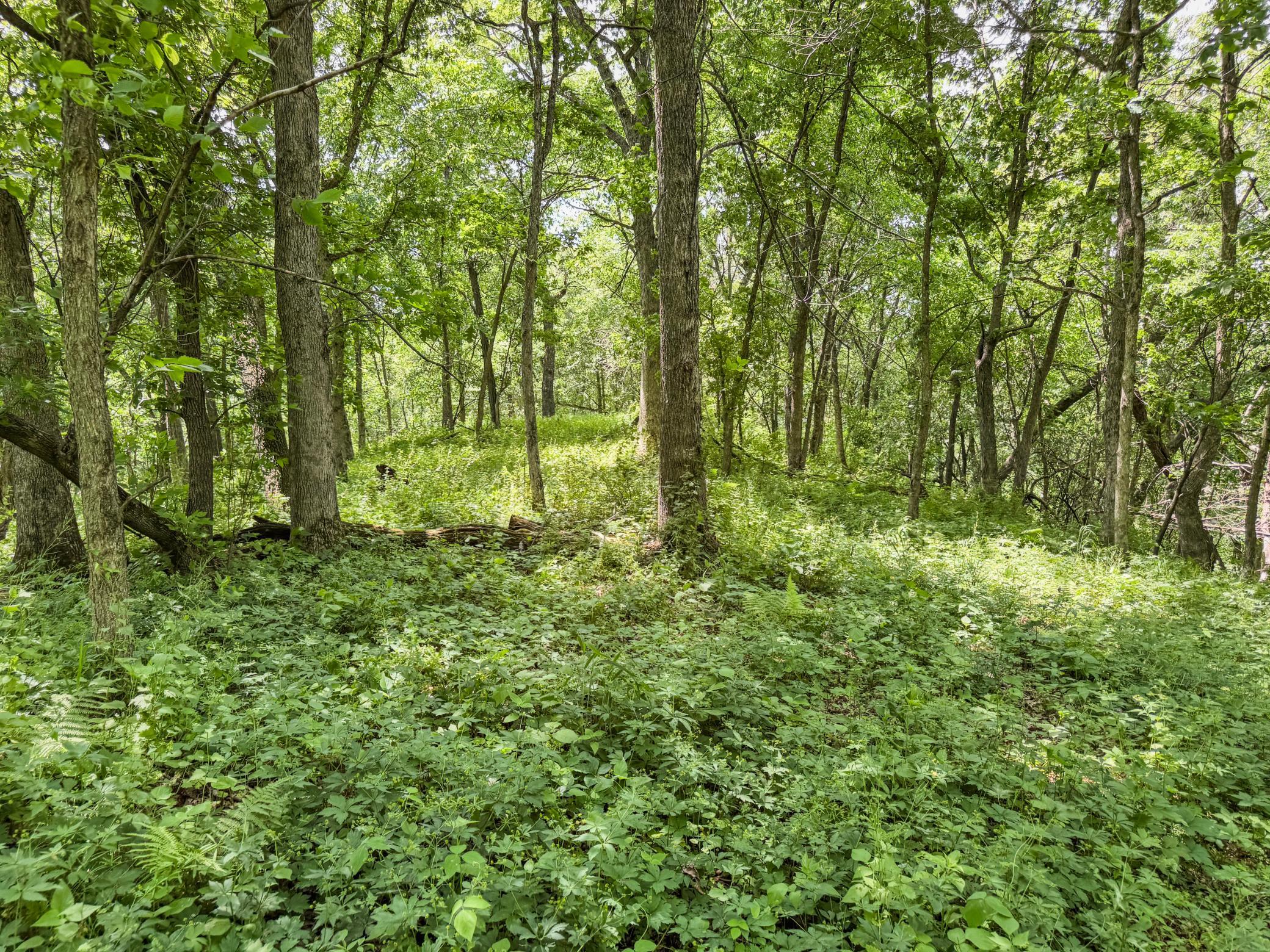 00 Dopp Property Photo 44
