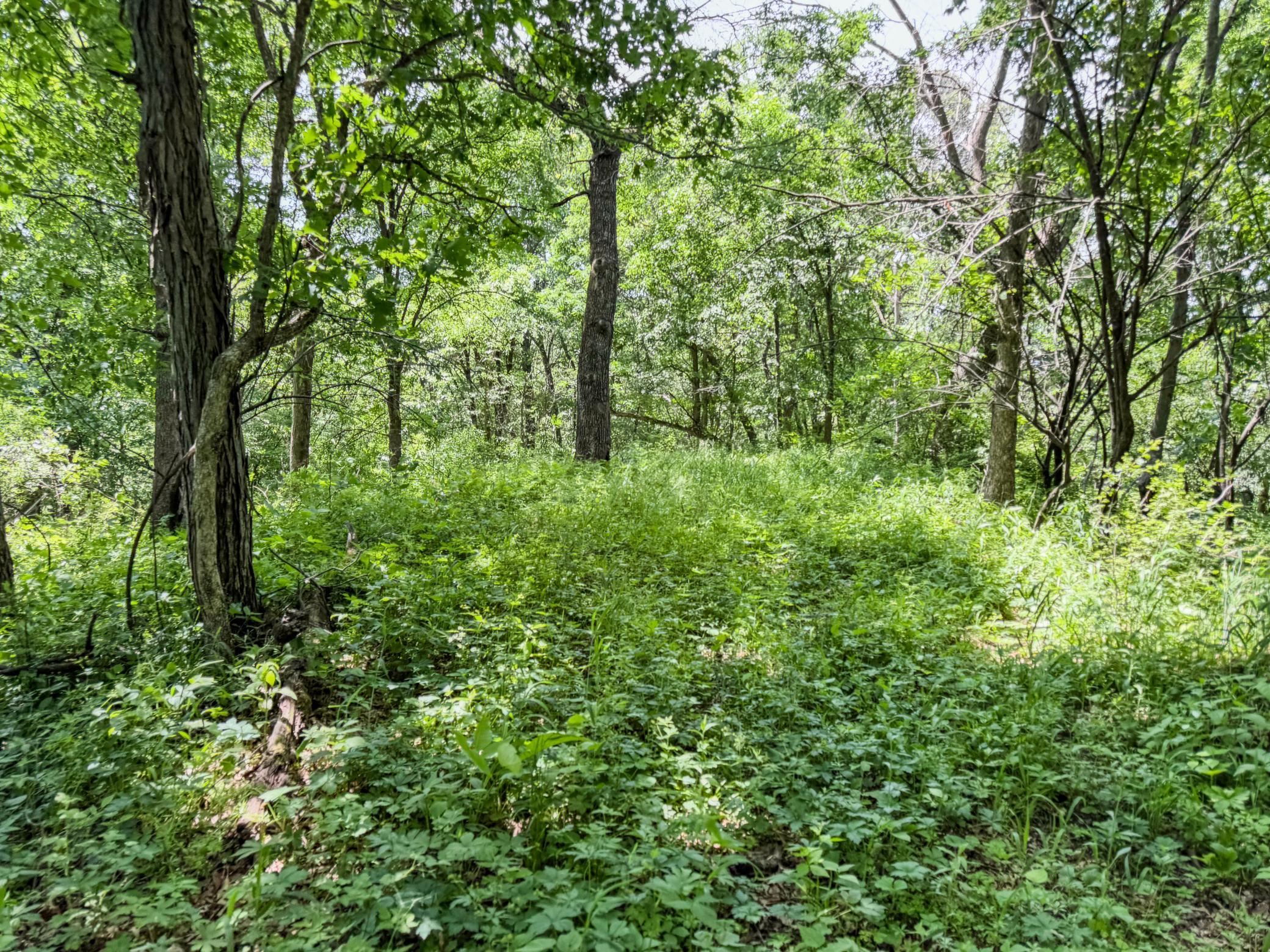 00 Dopp Property Photo 46