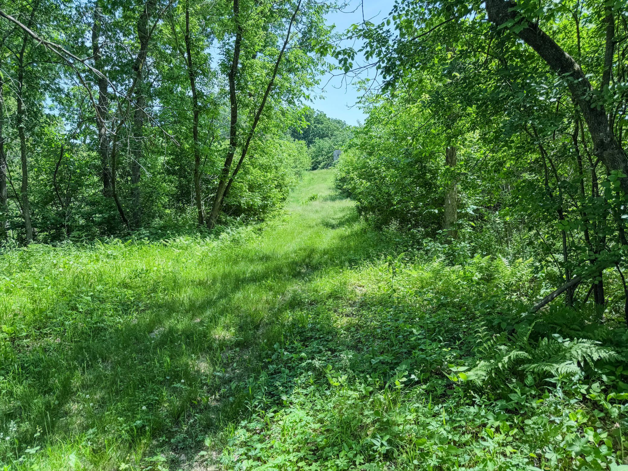 00 Dopp Property Photo 47