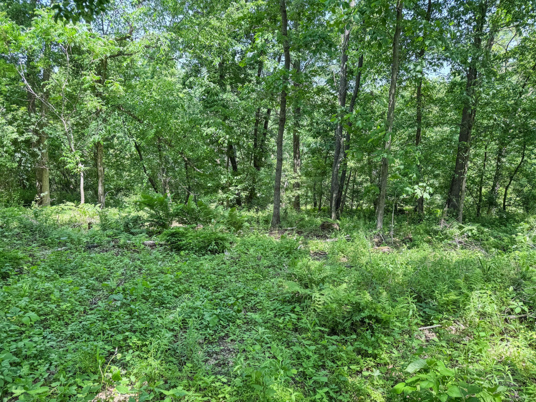 00 Dopp Property Photo 48