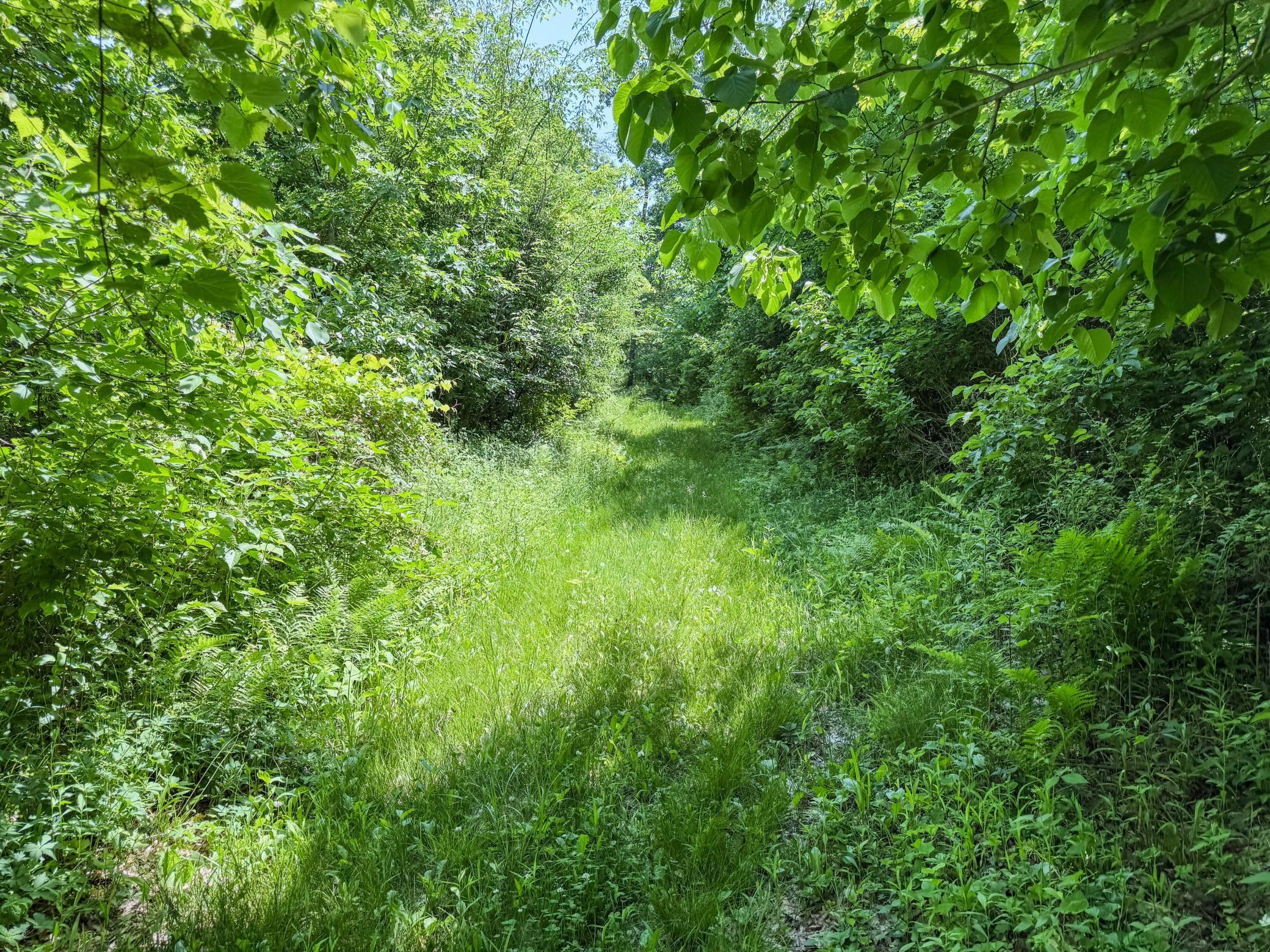 00 Dopp Property Photo 49
