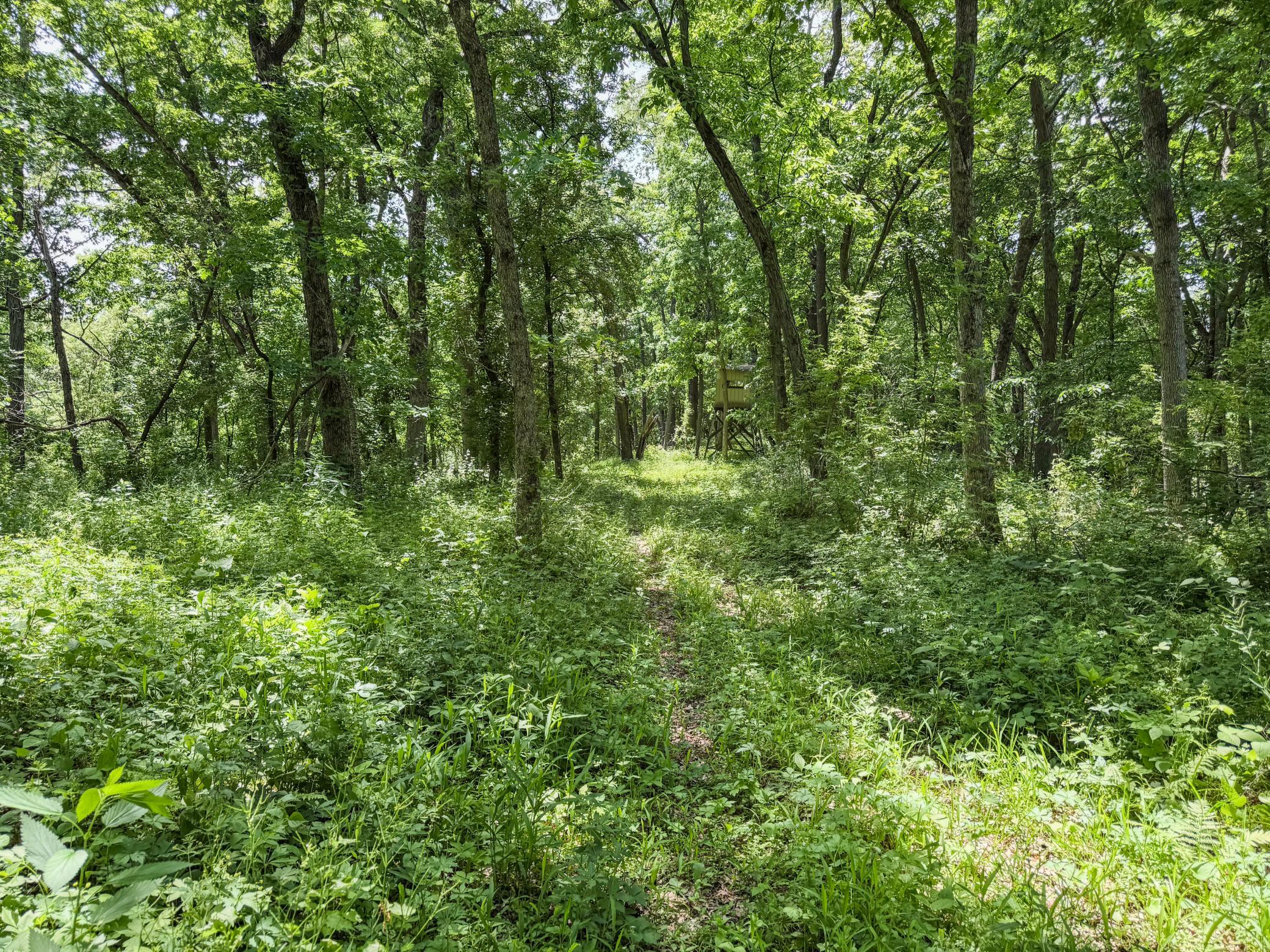 00 Dopp Property Photo 51