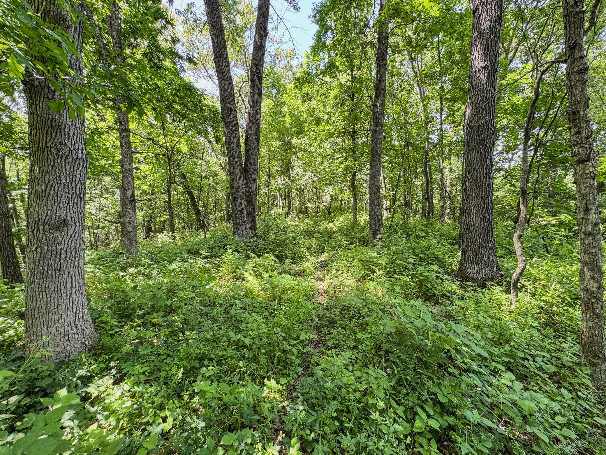 00 Dopp Property Photo 53