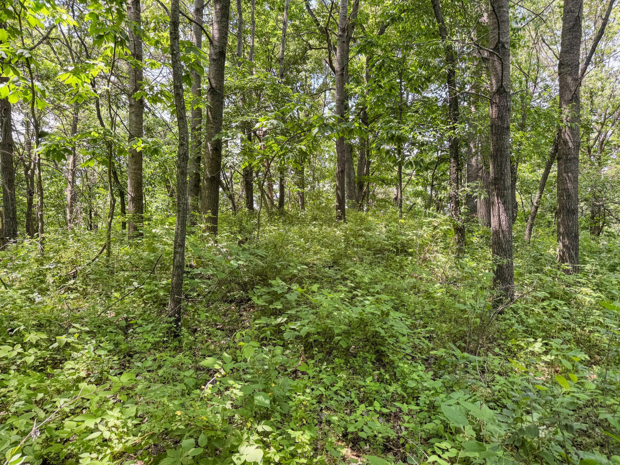 00 Dopp Property Photo 54