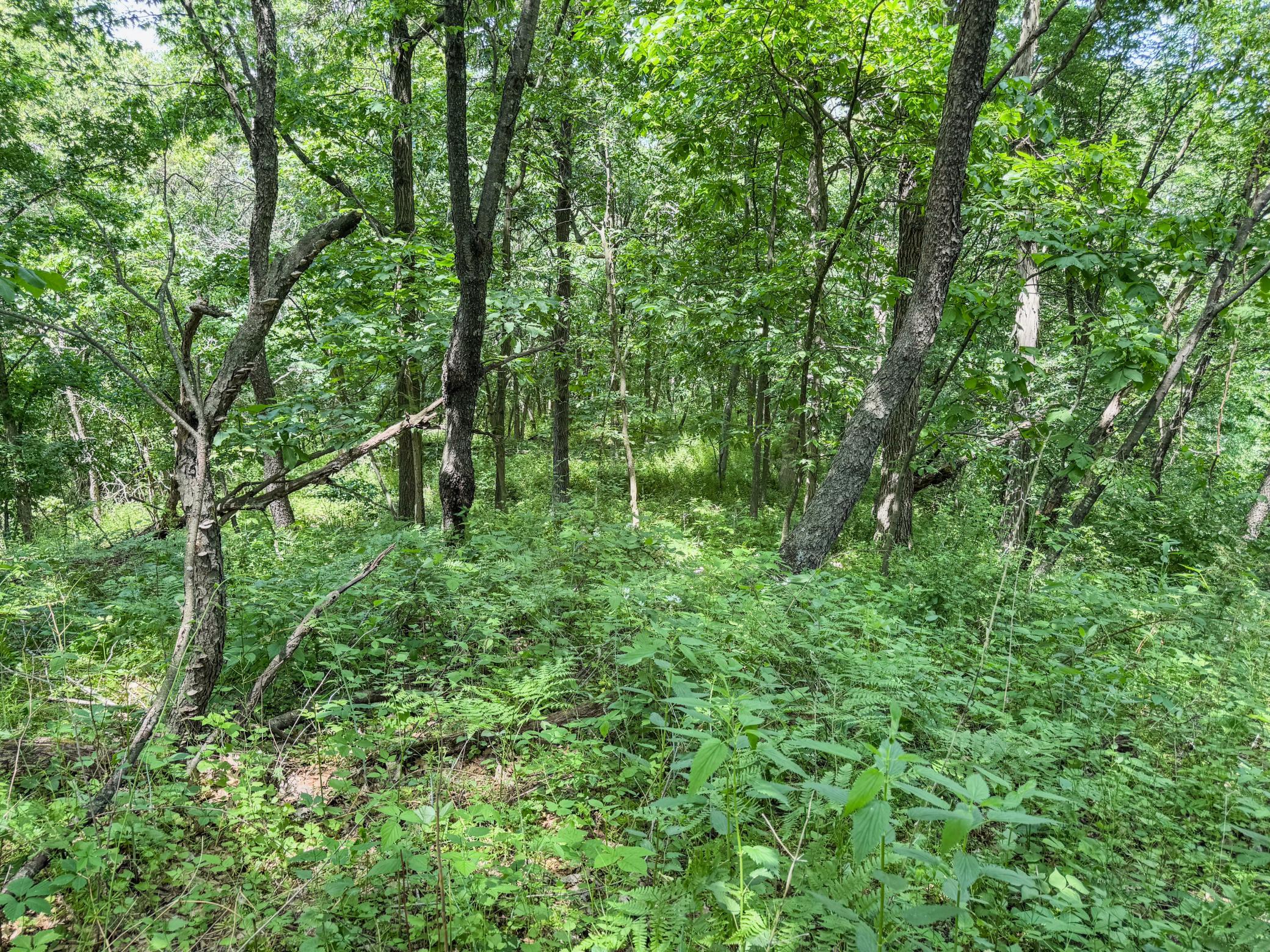 00 Dopp Property Photo 55