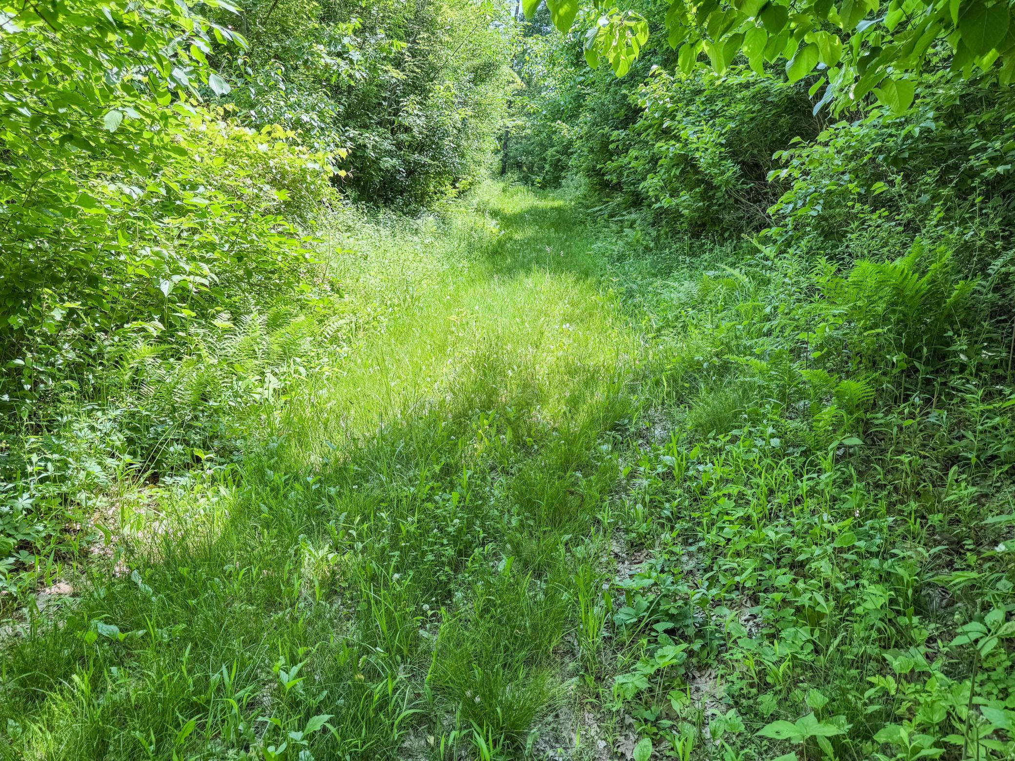 00 Dopp Property Photo 57