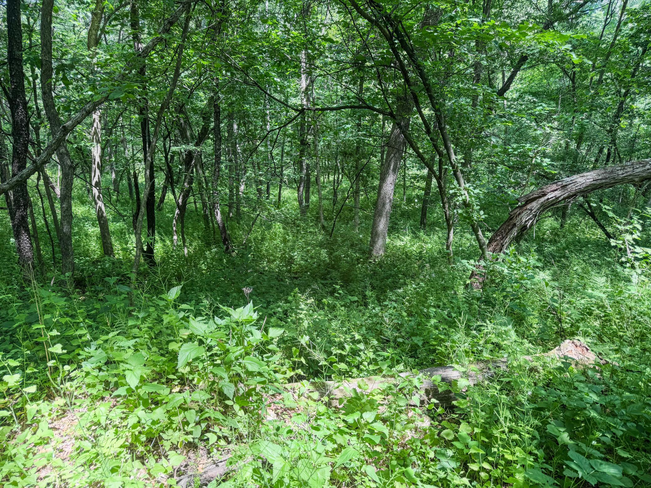 00 Dopp Property Photo 58