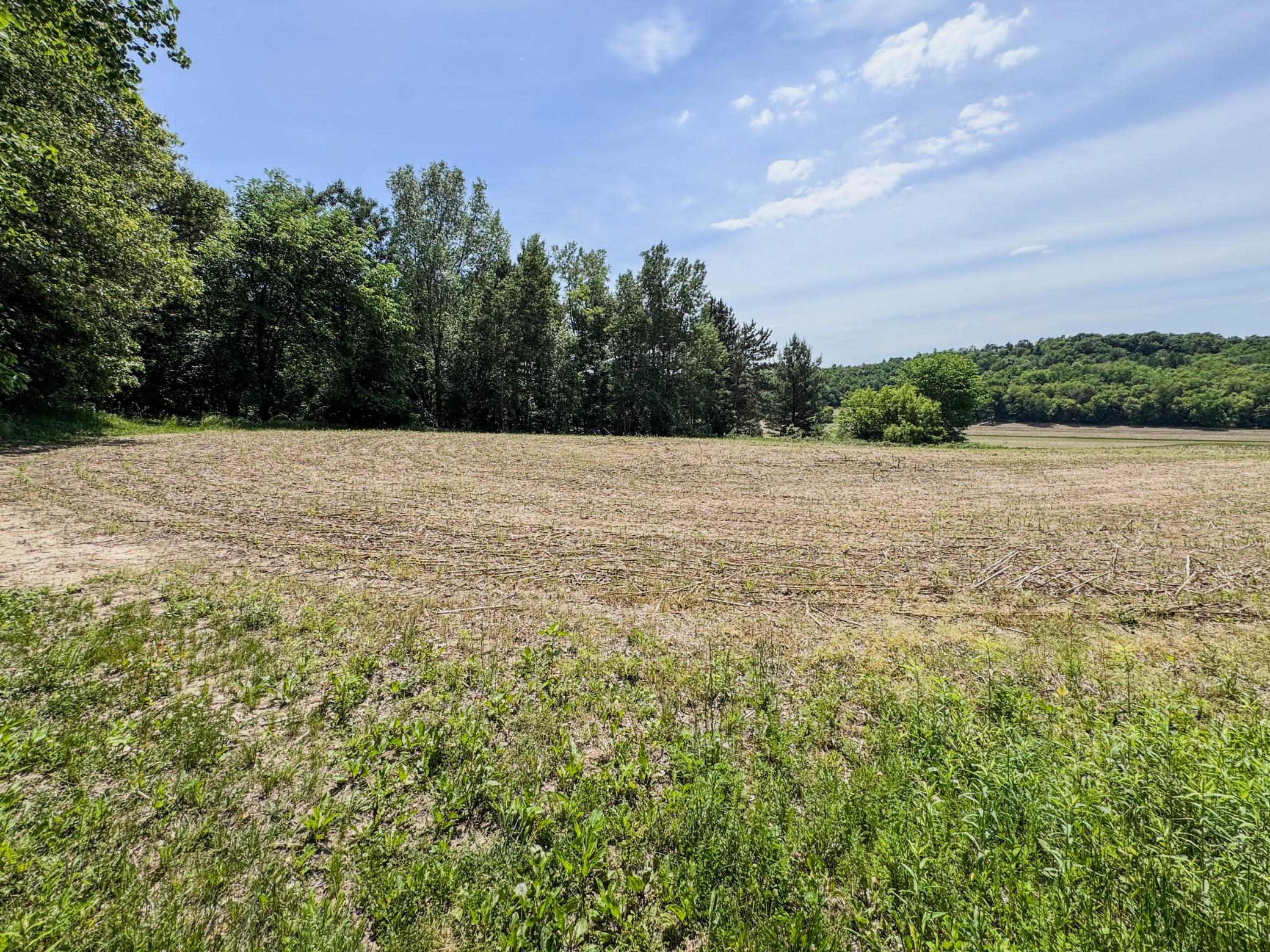 00 Dopp Property Photo 59