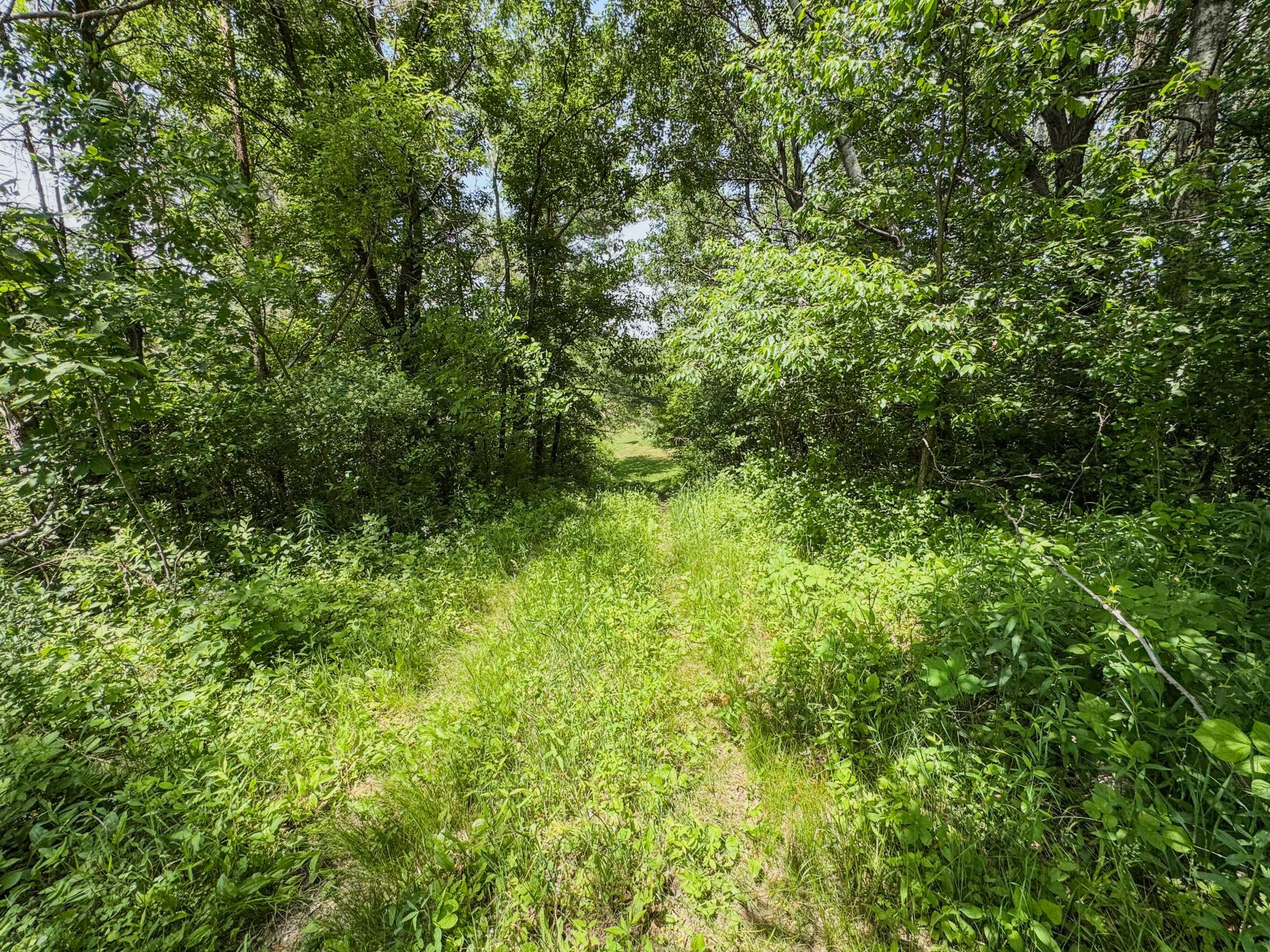 00 Dopp Property Photo 60