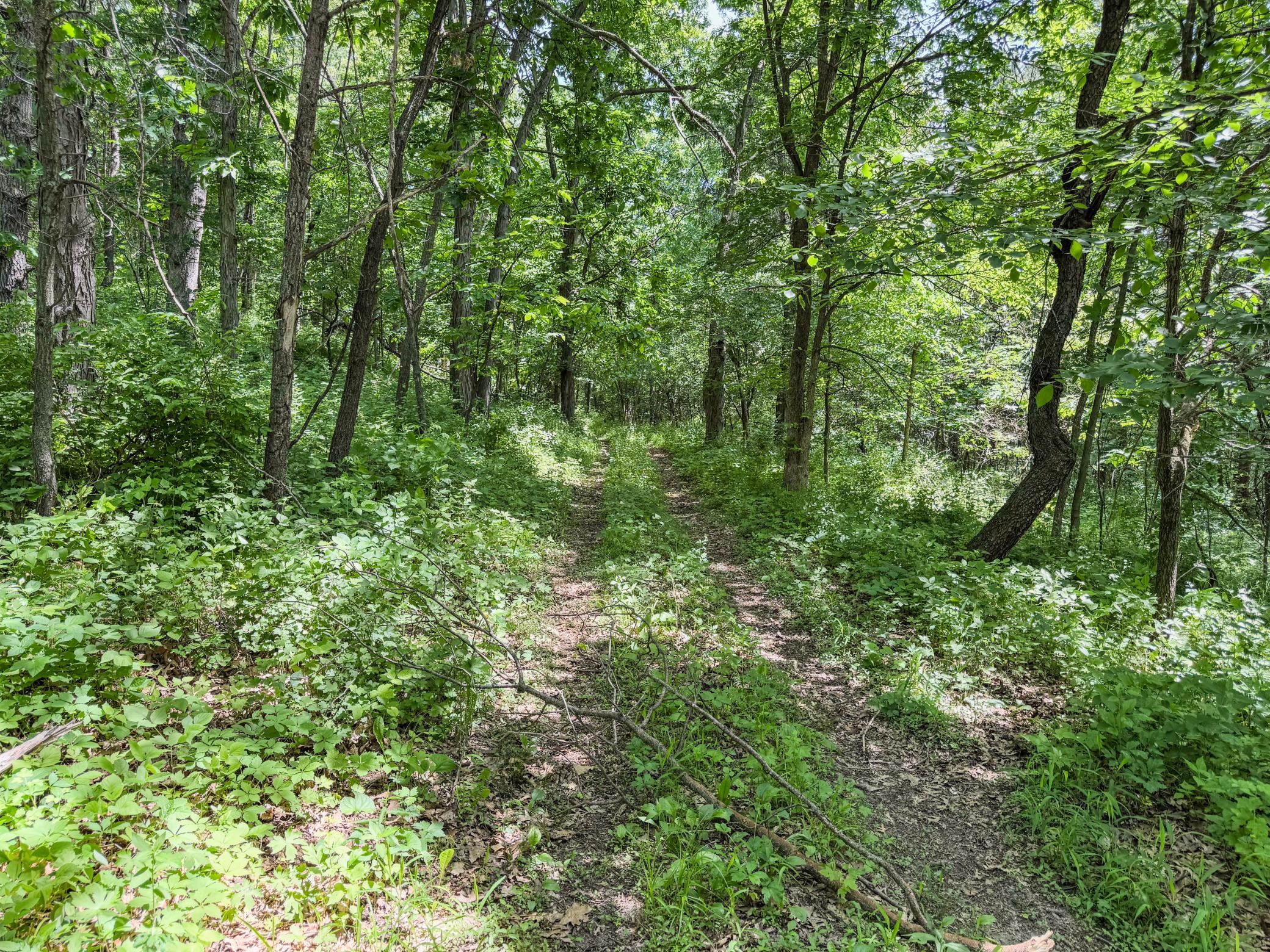 00 Dopp Property Photo 61
