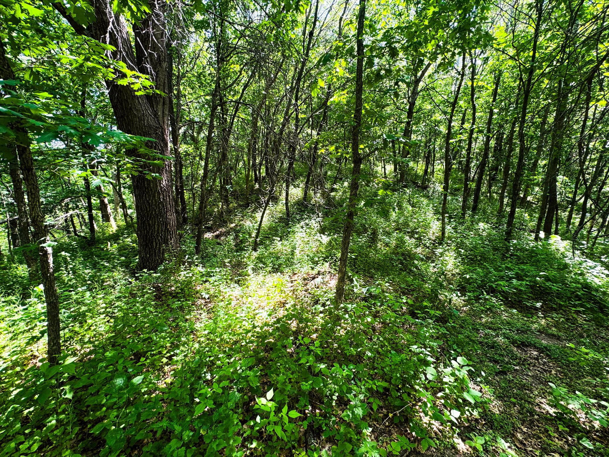 00 Dopp Property Photo 69
