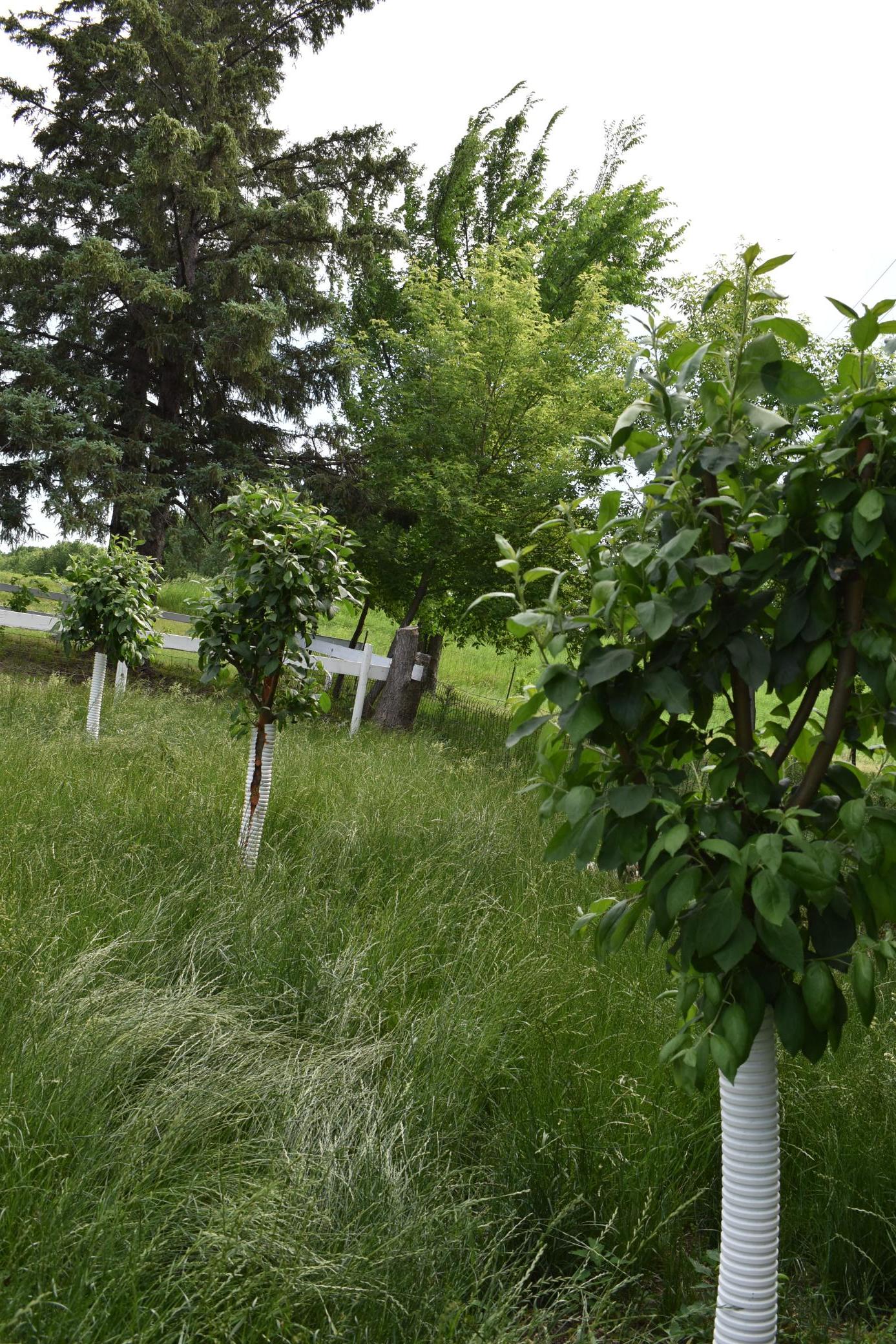 26073 County Highway 18 Property Photo 18