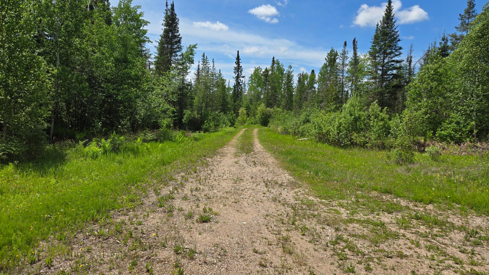 5142 Wolf Knoll Road Property Photo 13