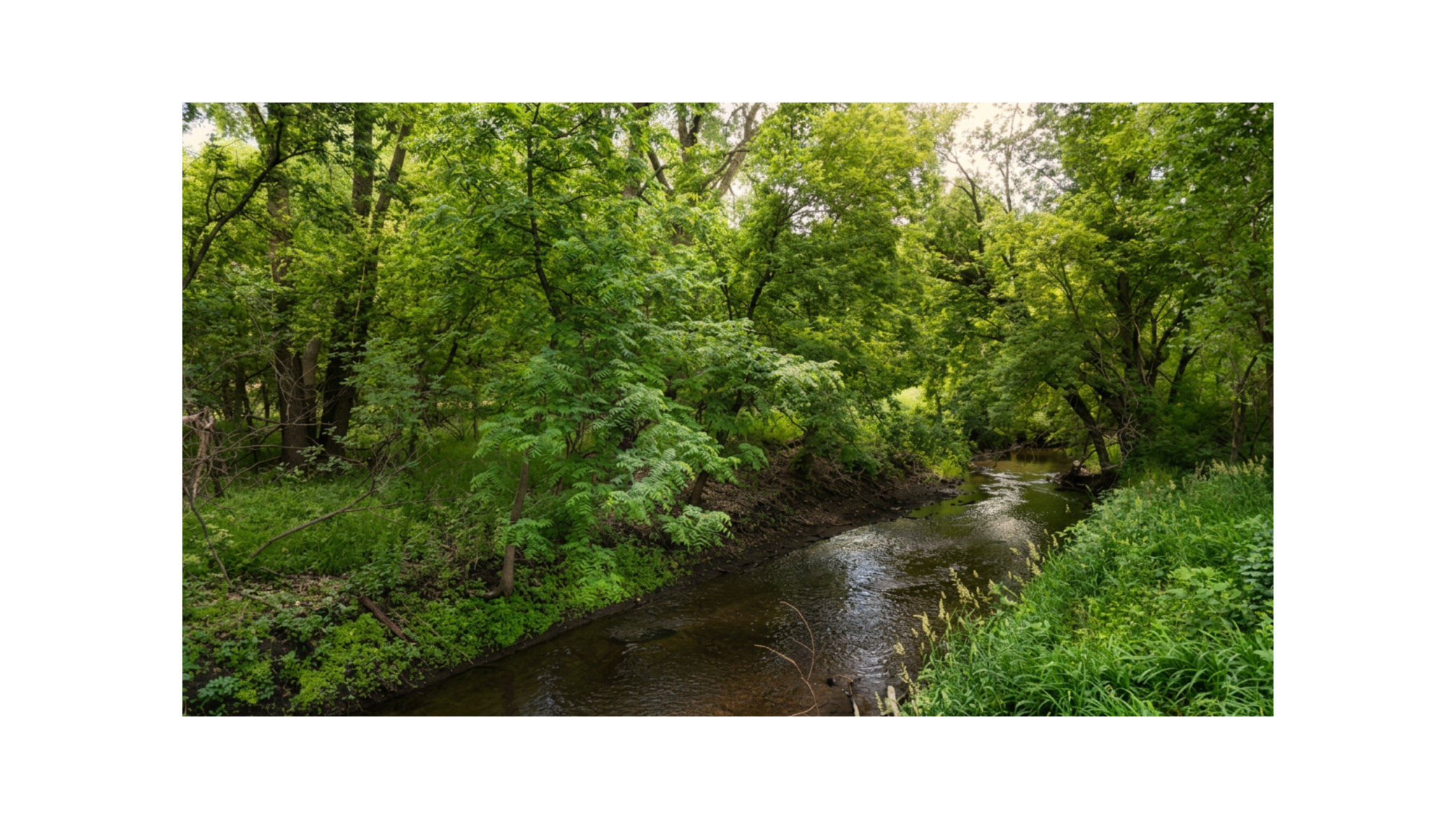 817 17th Street Property Photo 11