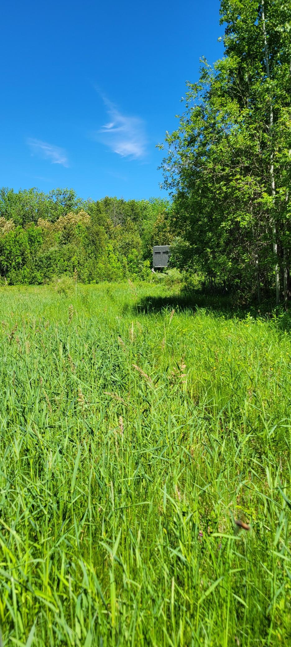 1634 County Road 117 Property Photo 28