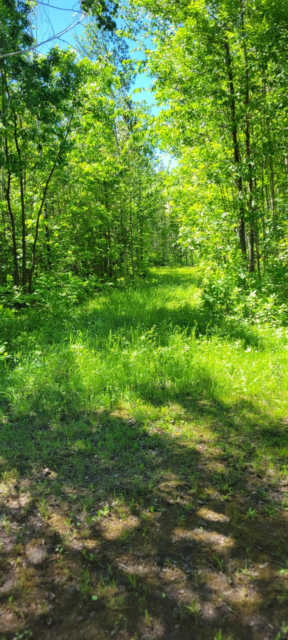 1634 County Road 117 Property Photo 30