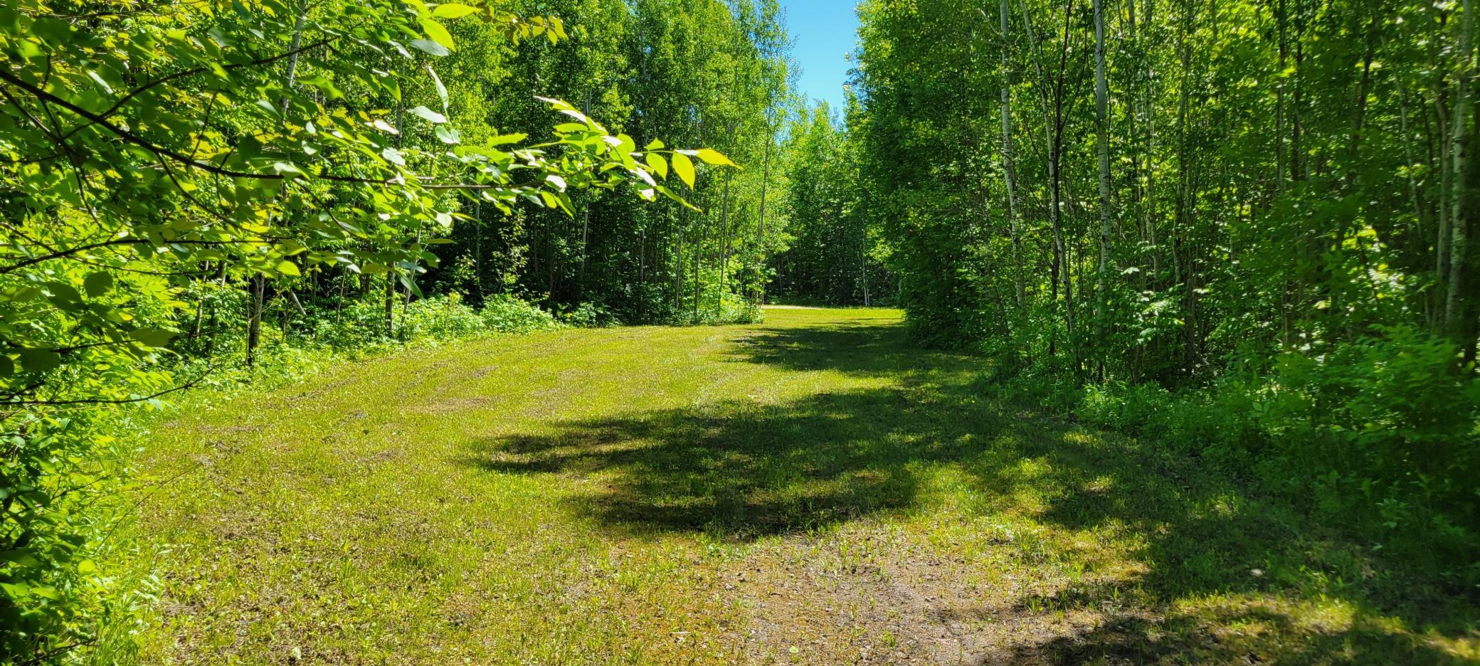 1634 County Road 117 Property Photo 31