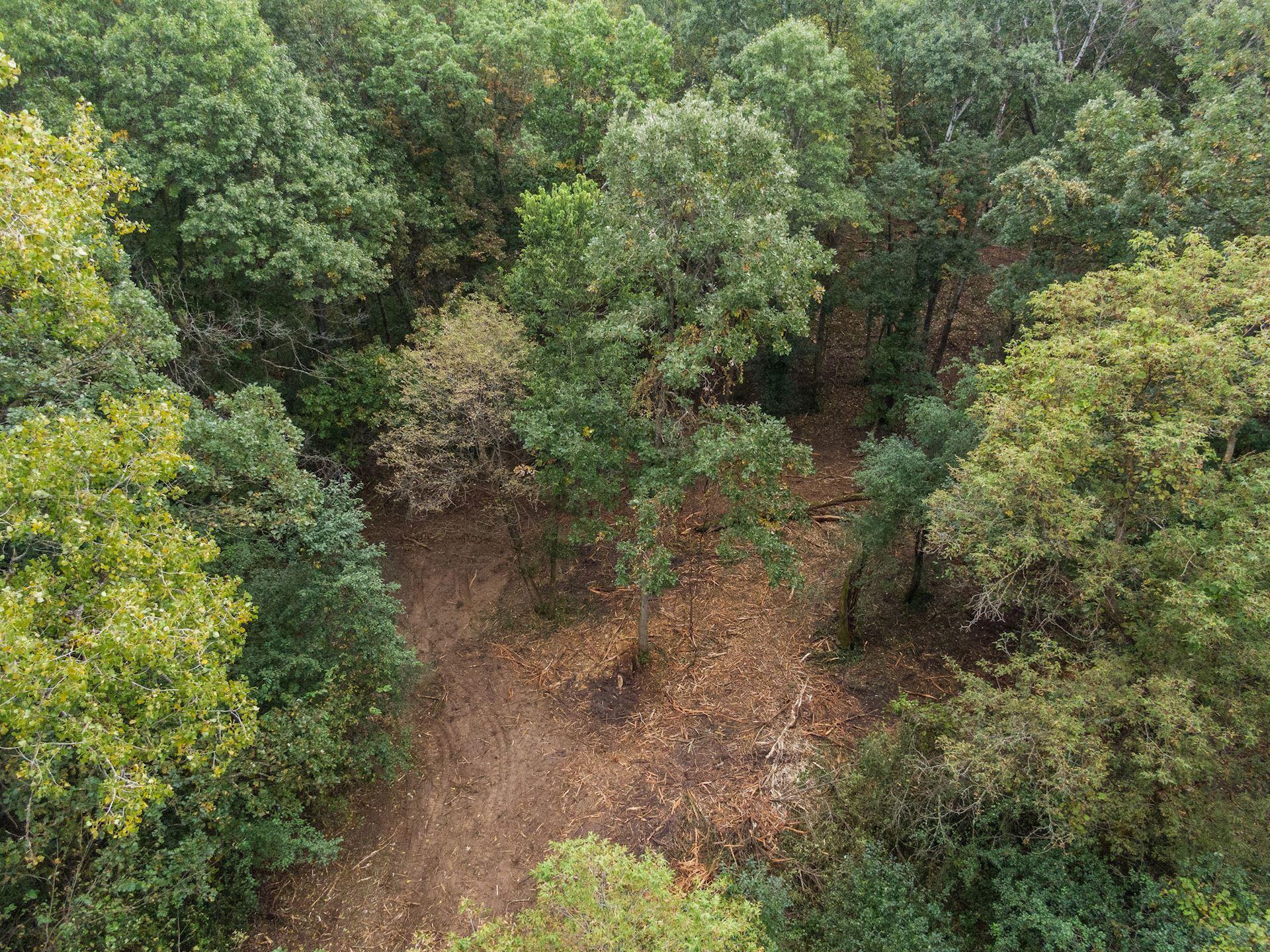2555 Trading Post Trail S Property Photo 4