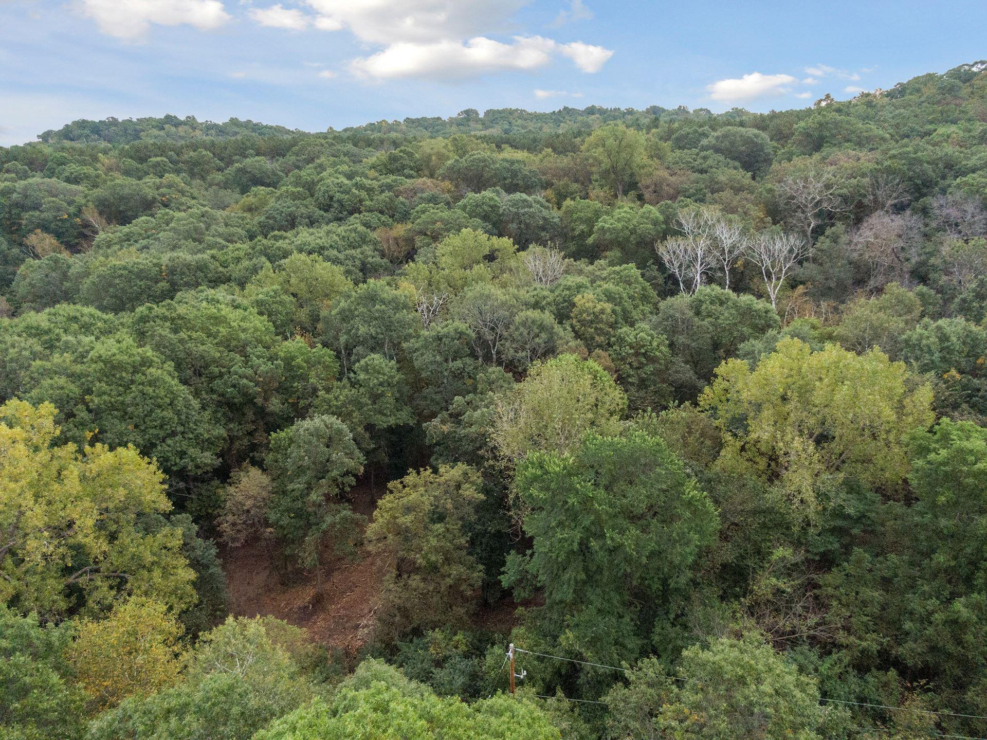 2555 Trading Post Trail S Property Photo 5