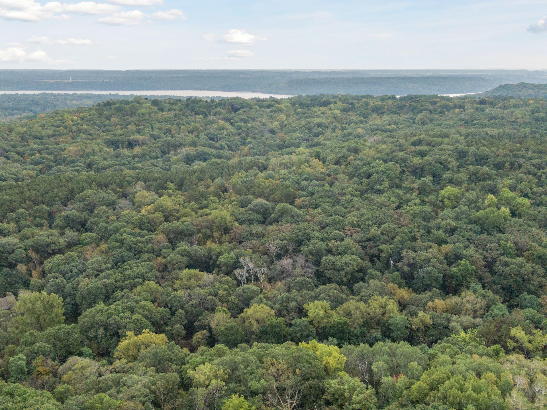 2555 Trading Post Trail S Property Photo 6