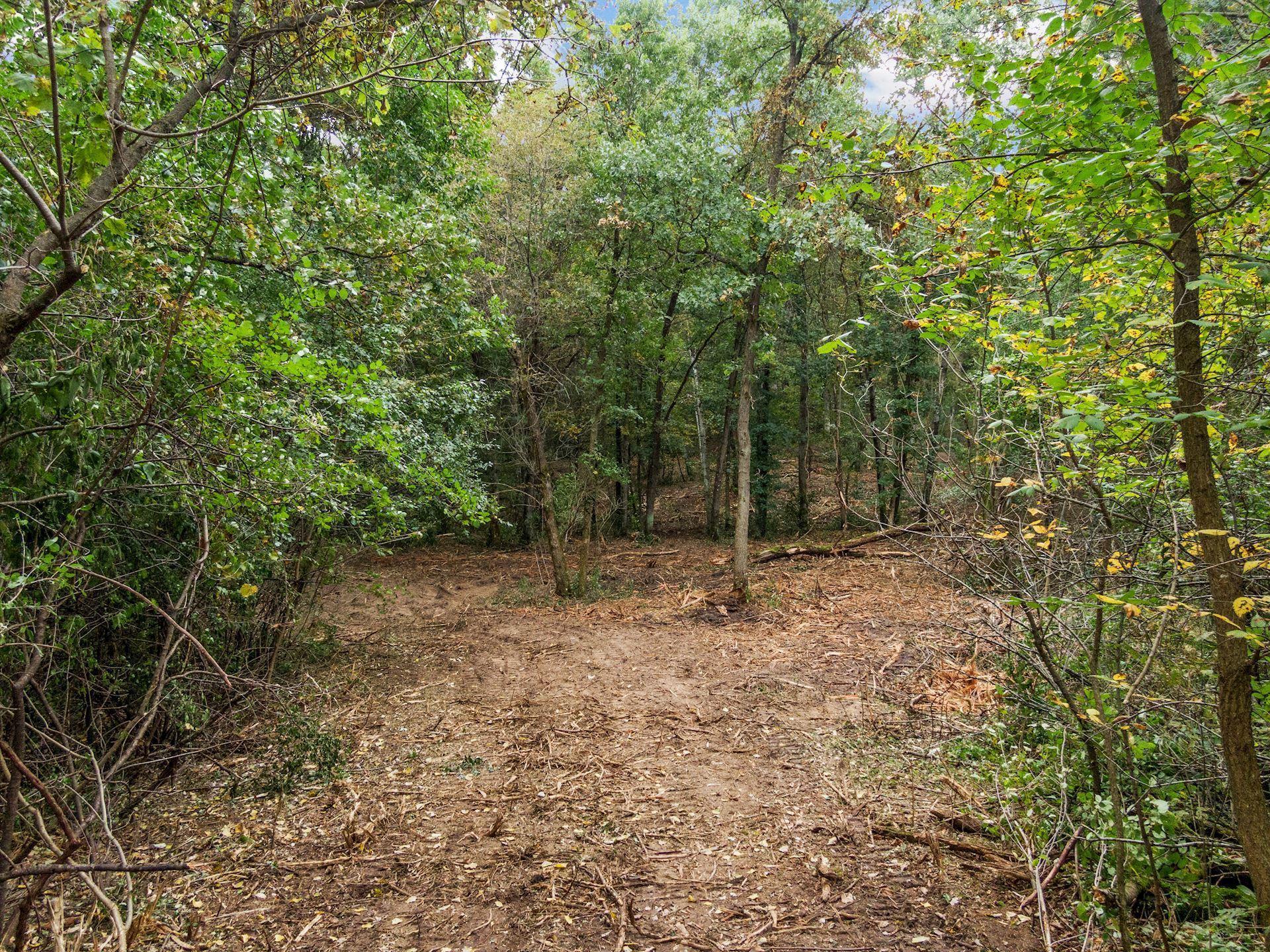 2555 Trading Post Trail S Property Photo 8