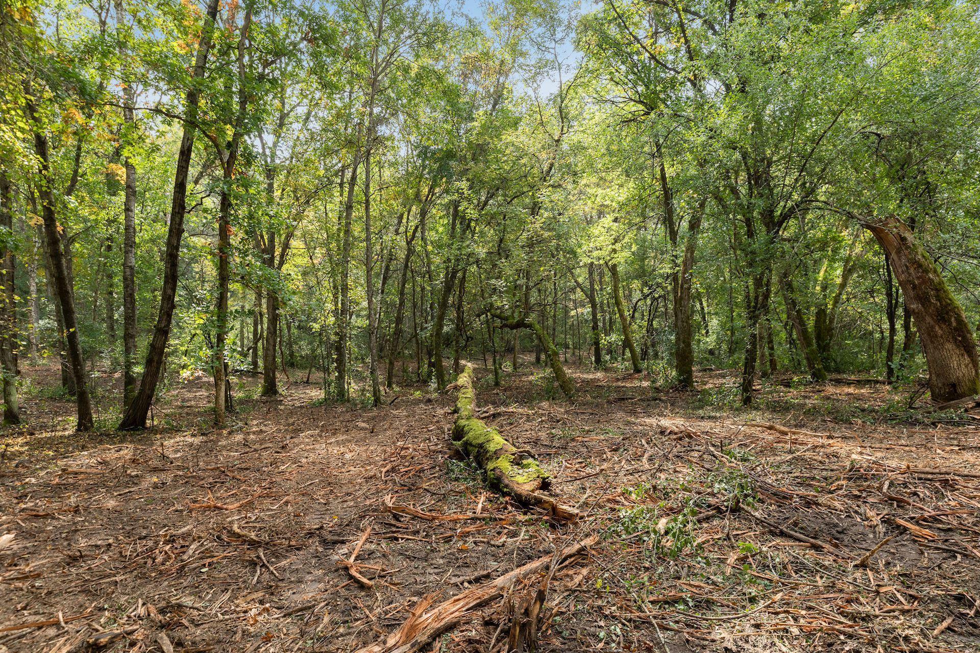 2555 Trading Post Trail S Property Photo 10