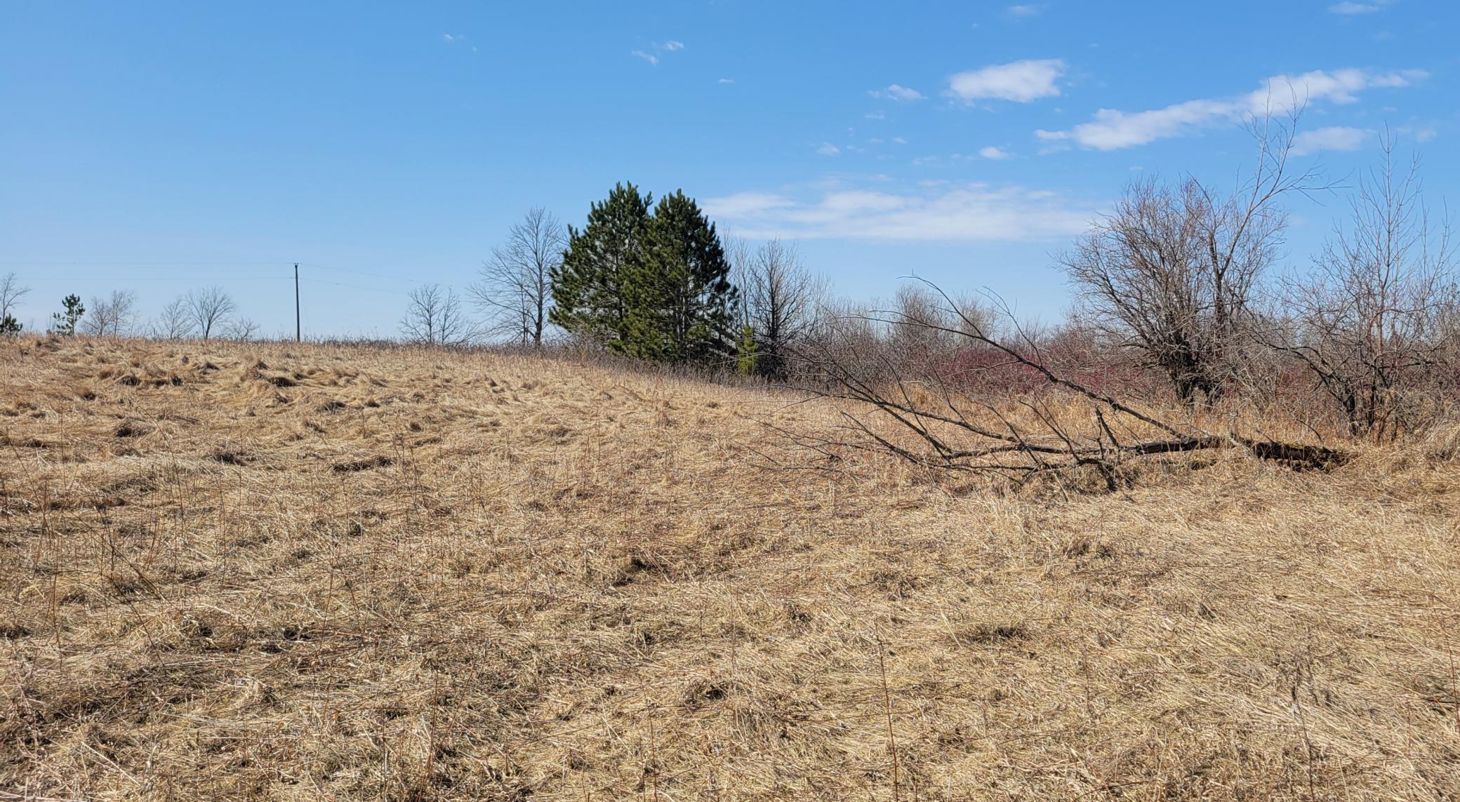 512xx Leaf River Road Tract A Property Photo 5