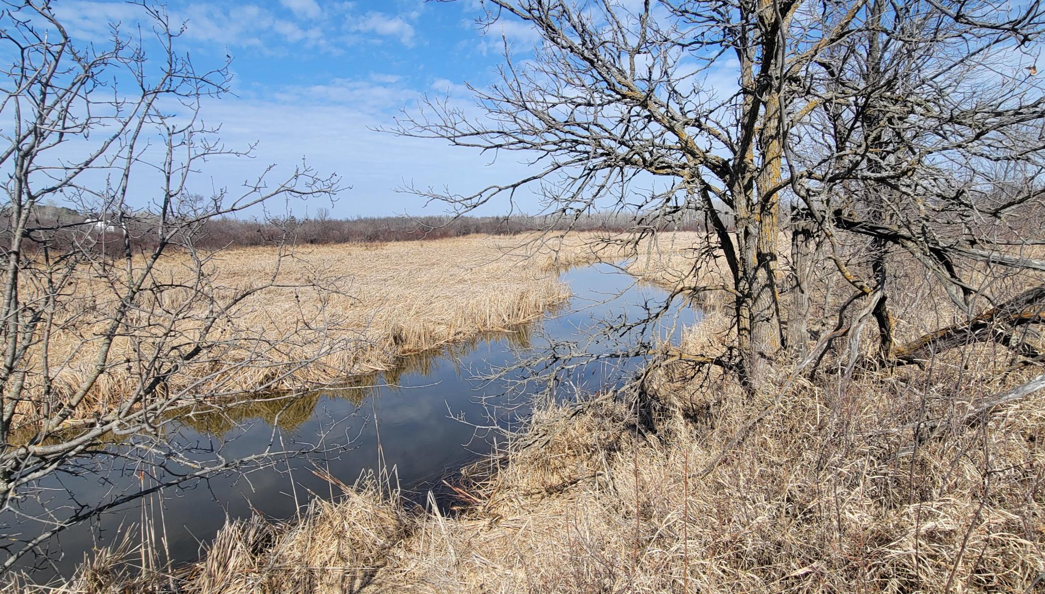 512xx Leaf River Road Tract A Property Photo 16