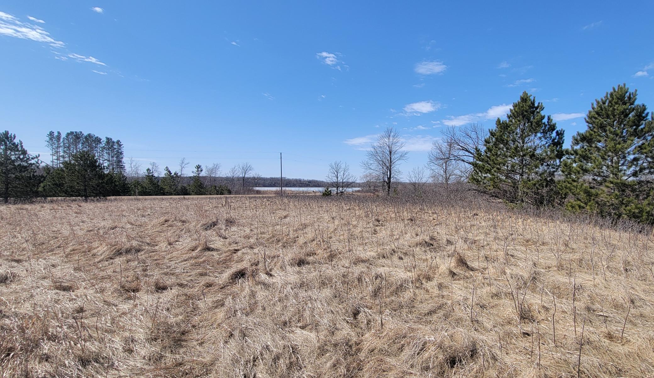 512xx Leaf River Road Tract A Property Photo 21