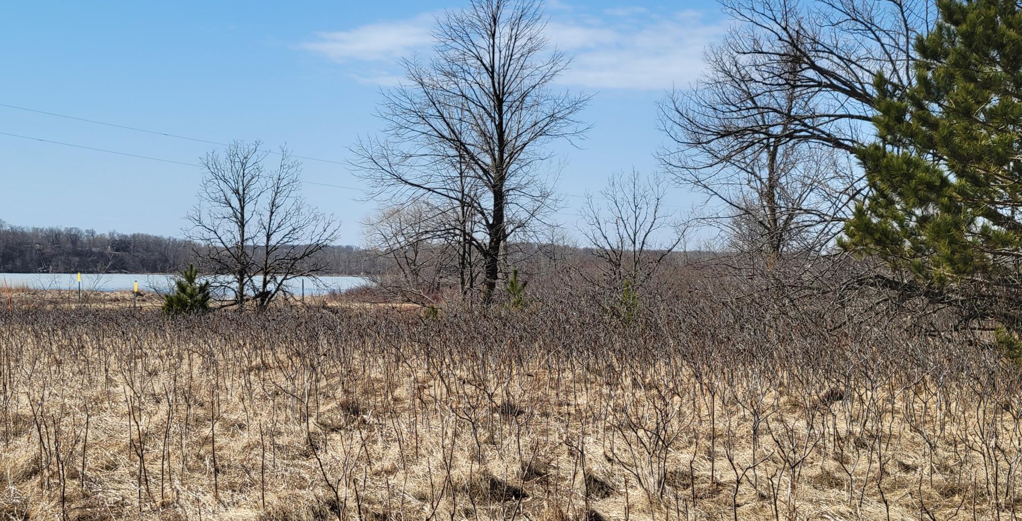512xx Leaf River Road Tract A Property Photo 22