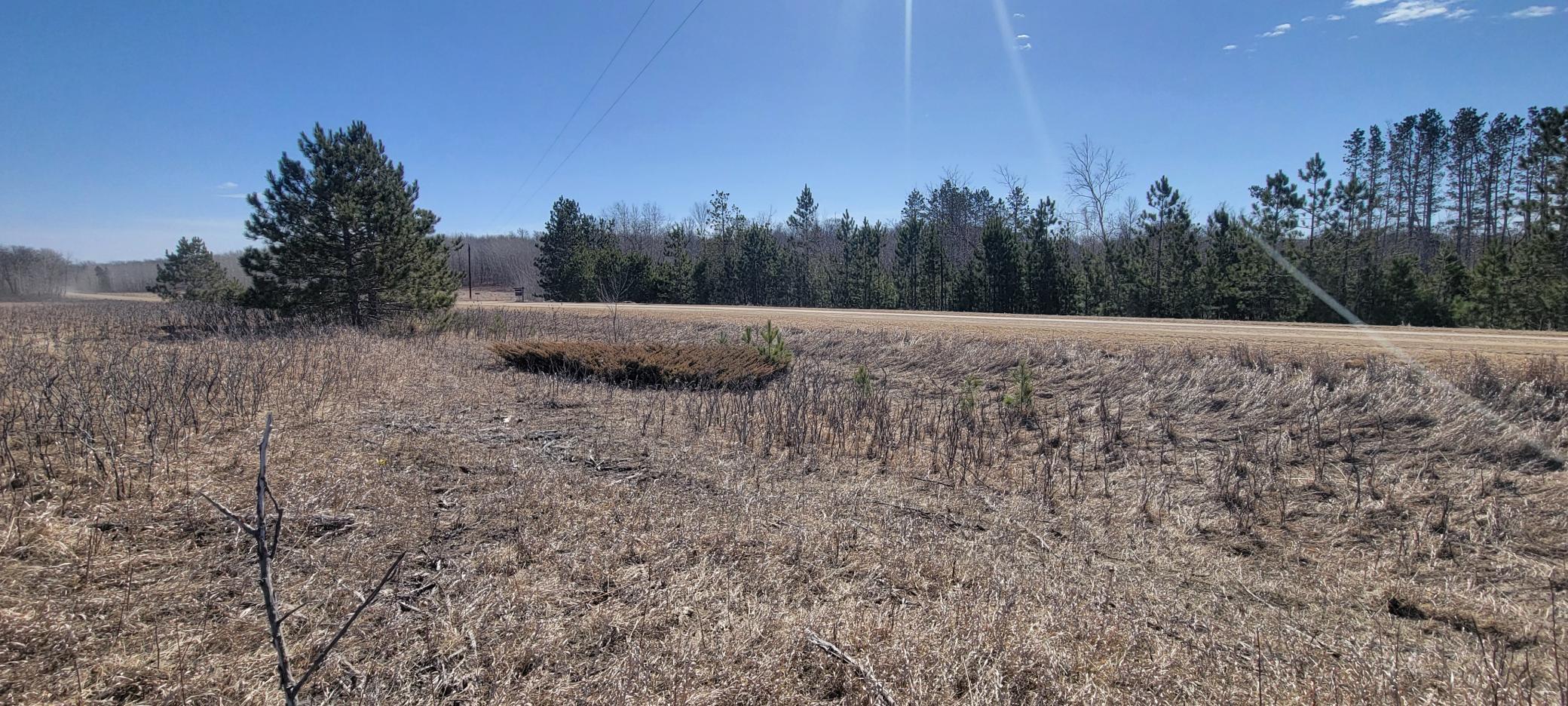 512xx Leaf River Road Tract A Property Photo 23