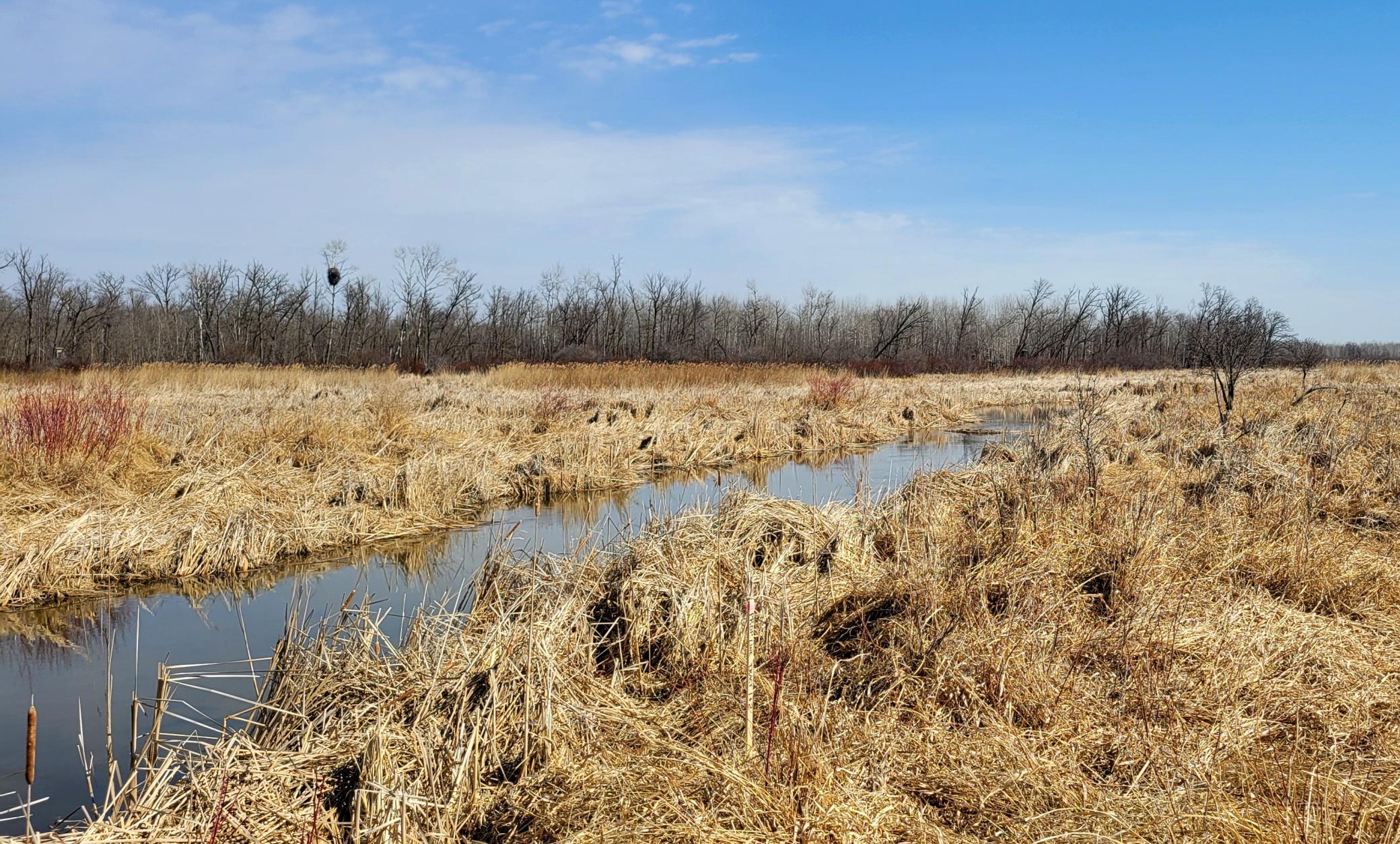 512xx Leaf River Road Tract A Property Photo 25