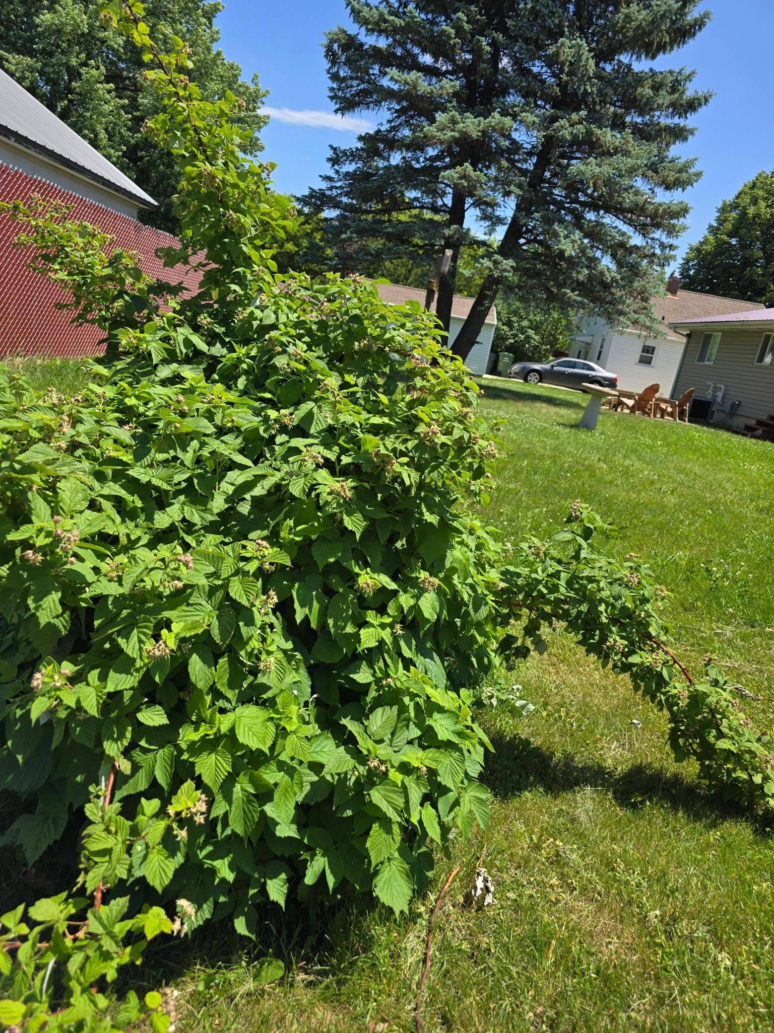 1601 Murray Avenue Property Photo 25