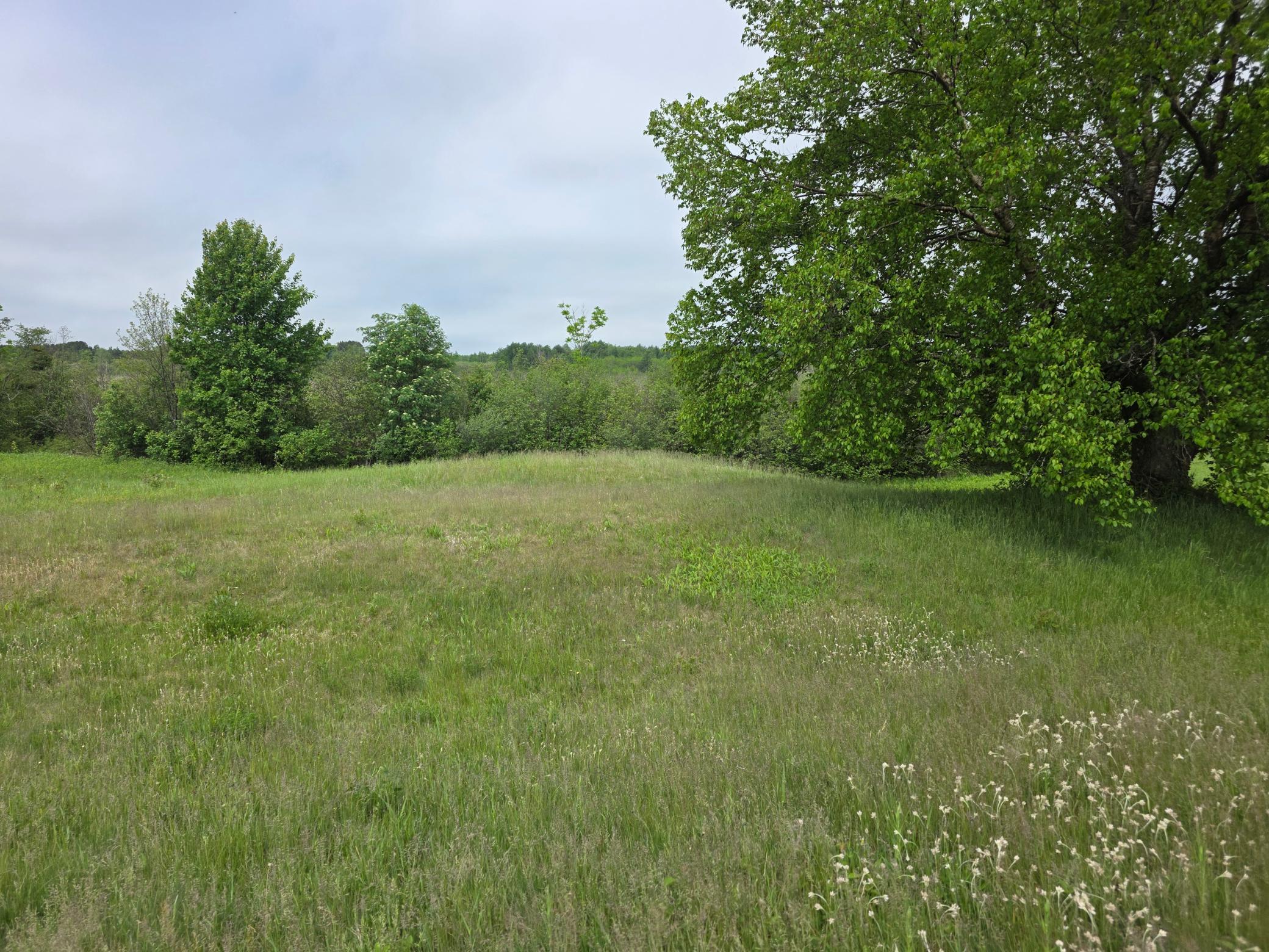 Tbd Erkkila Road Property Photo 2