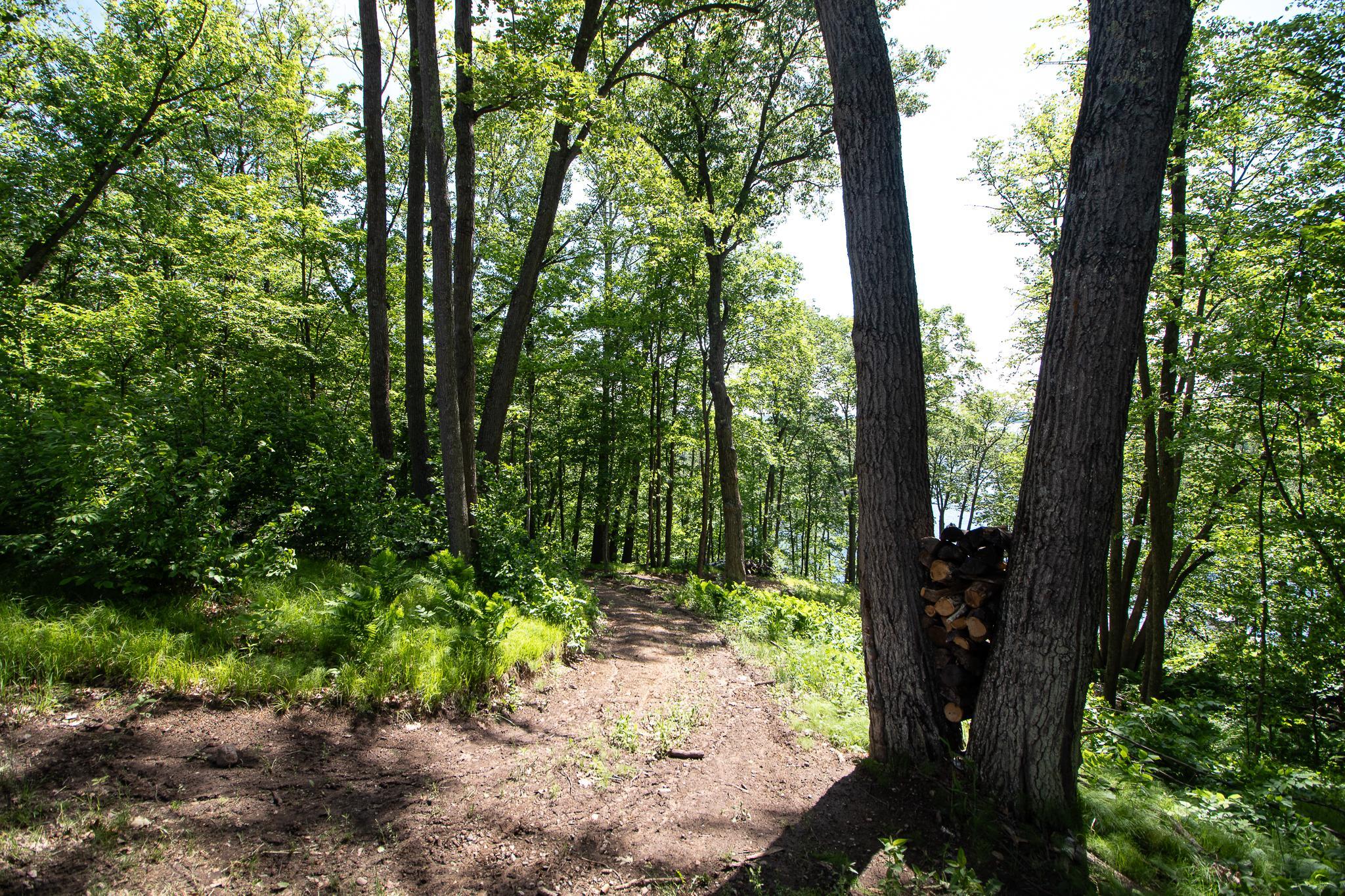 22281 Shadow Point Road Property Photo 39