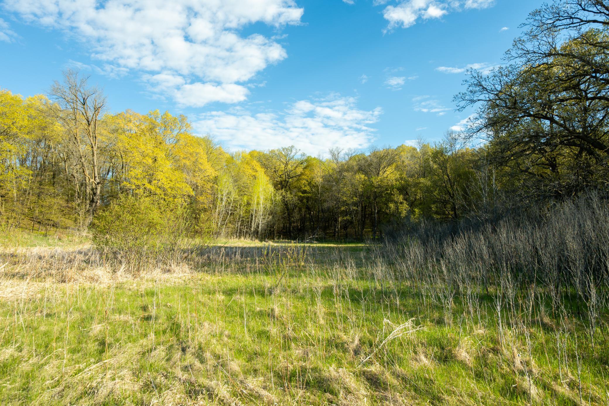 Tract A - Tbd State Highway 108 Property Photo 10