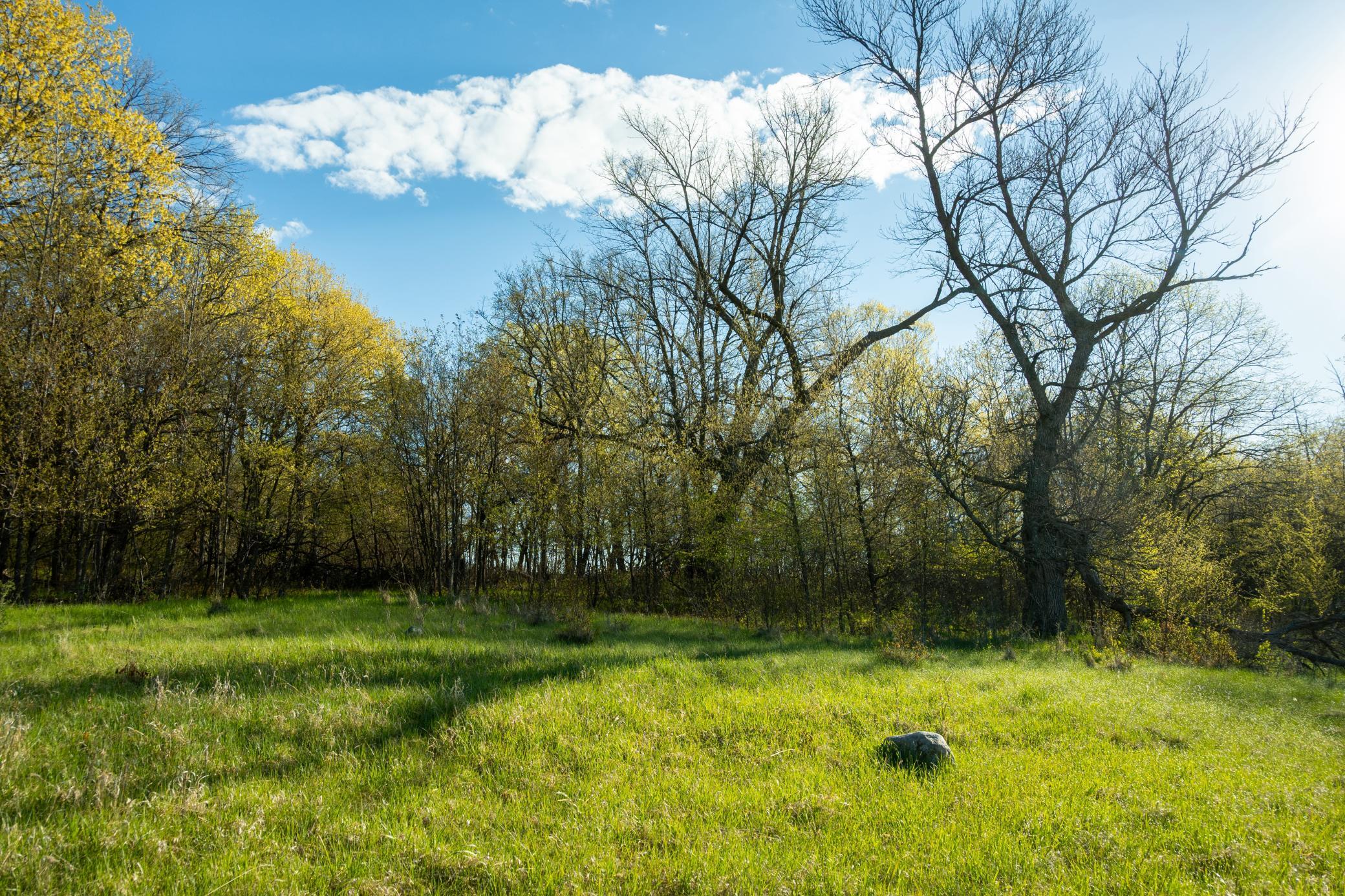 Tract A - Tbd State Highway 108 Property Photo 11