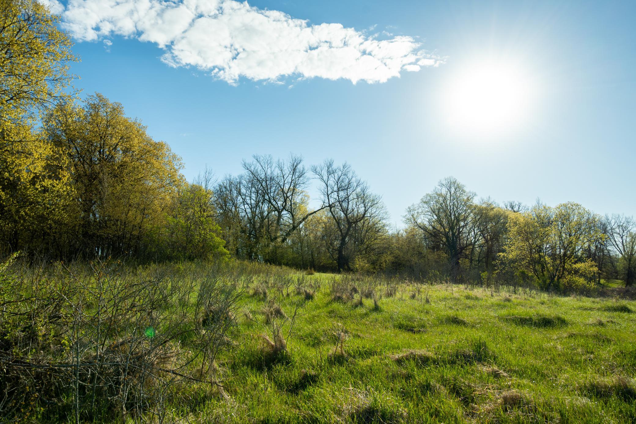 Tract A - Tbd State Highway 108 Property Photo 12