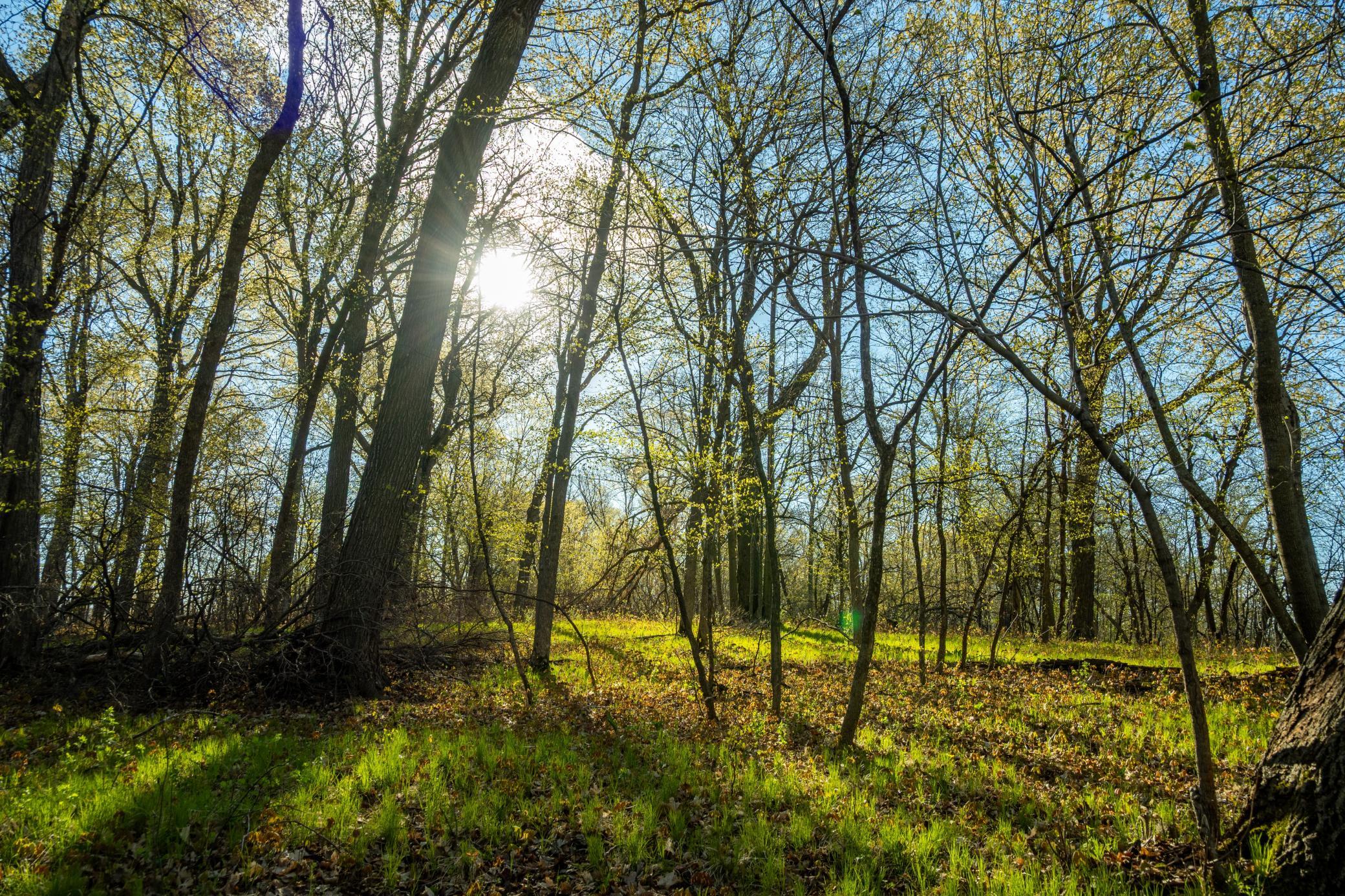 Tract A - Tbd State Highway 108 Property Photo 13