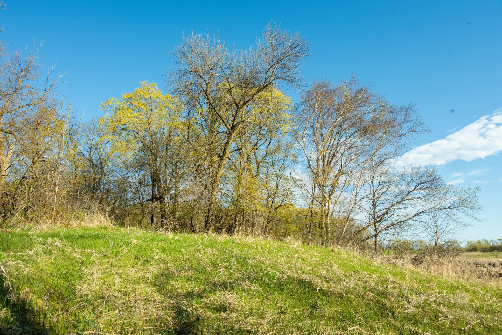 Tract A - Tbd State Highway 108 Property Photo 14